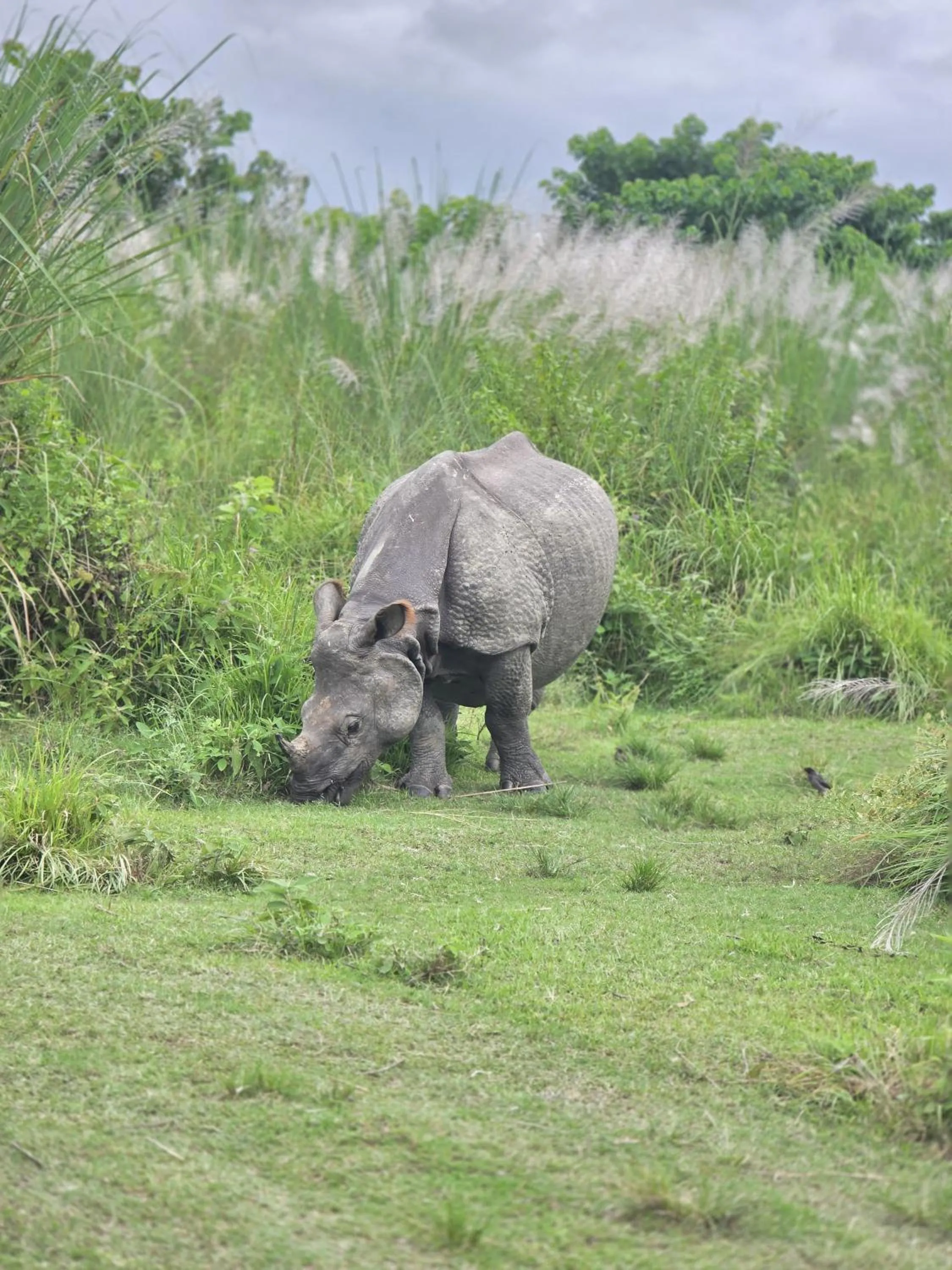 Activities in Siddhartha Wildlife Retreat