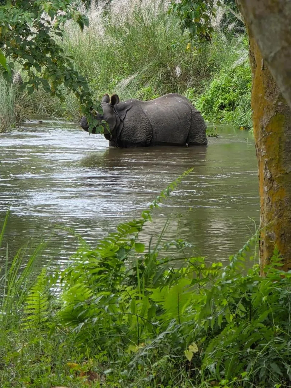 Natural landscape in Siddhartha Wildlife Retreat