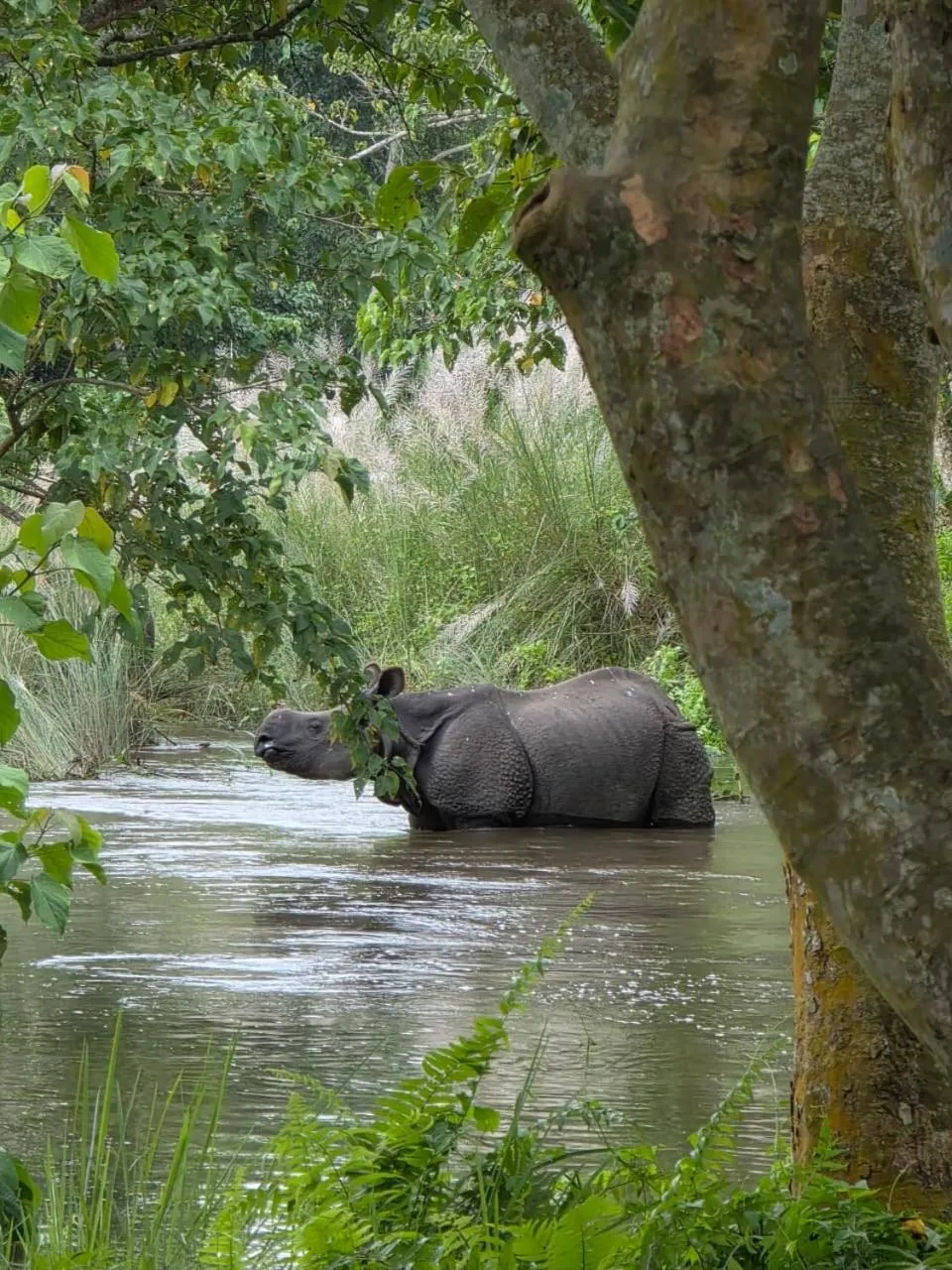 Natural landscape in Siddhartha Wildlife Retreat