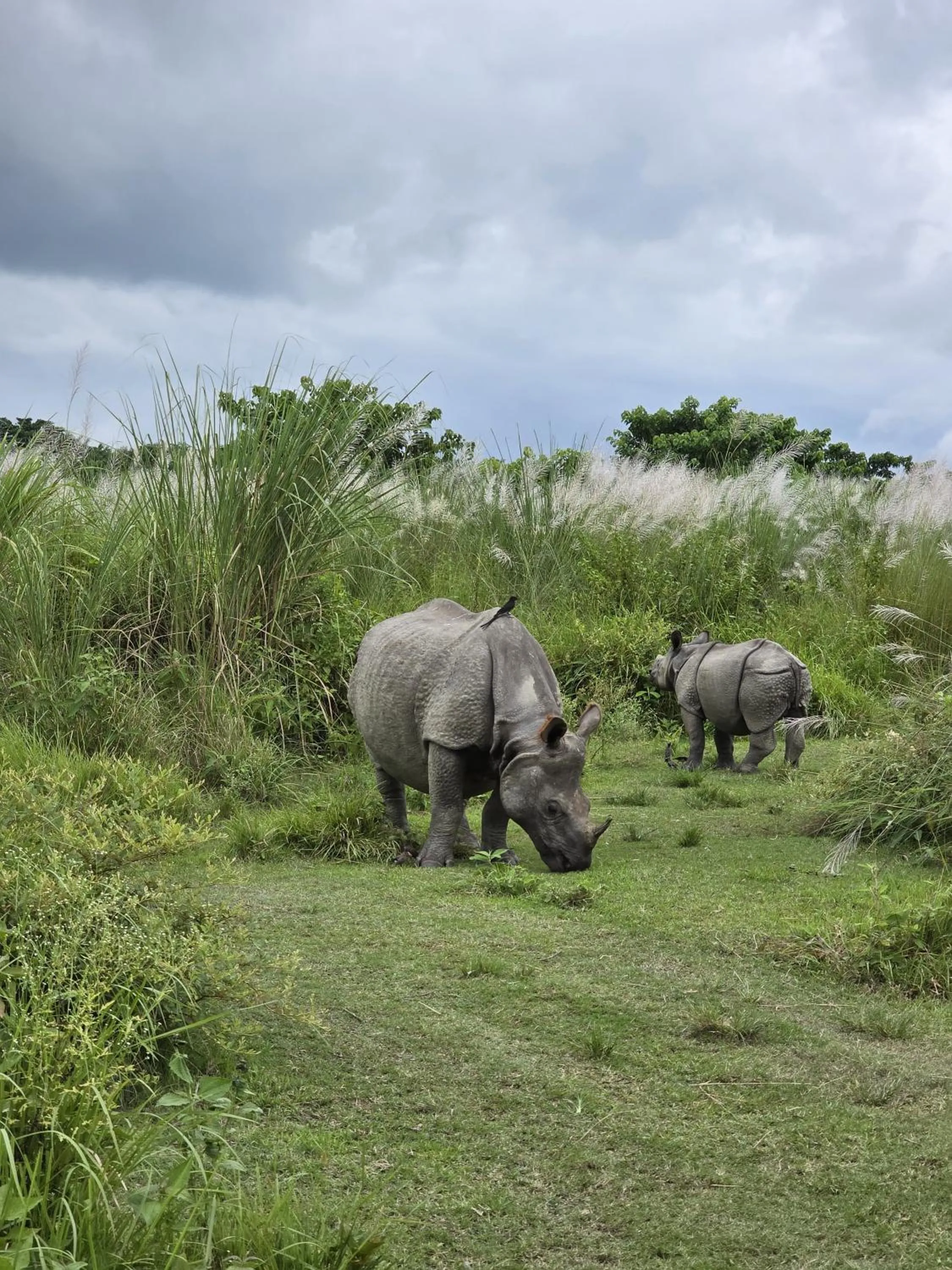 Natural landscape in Siddhartha Wildlife Retreat