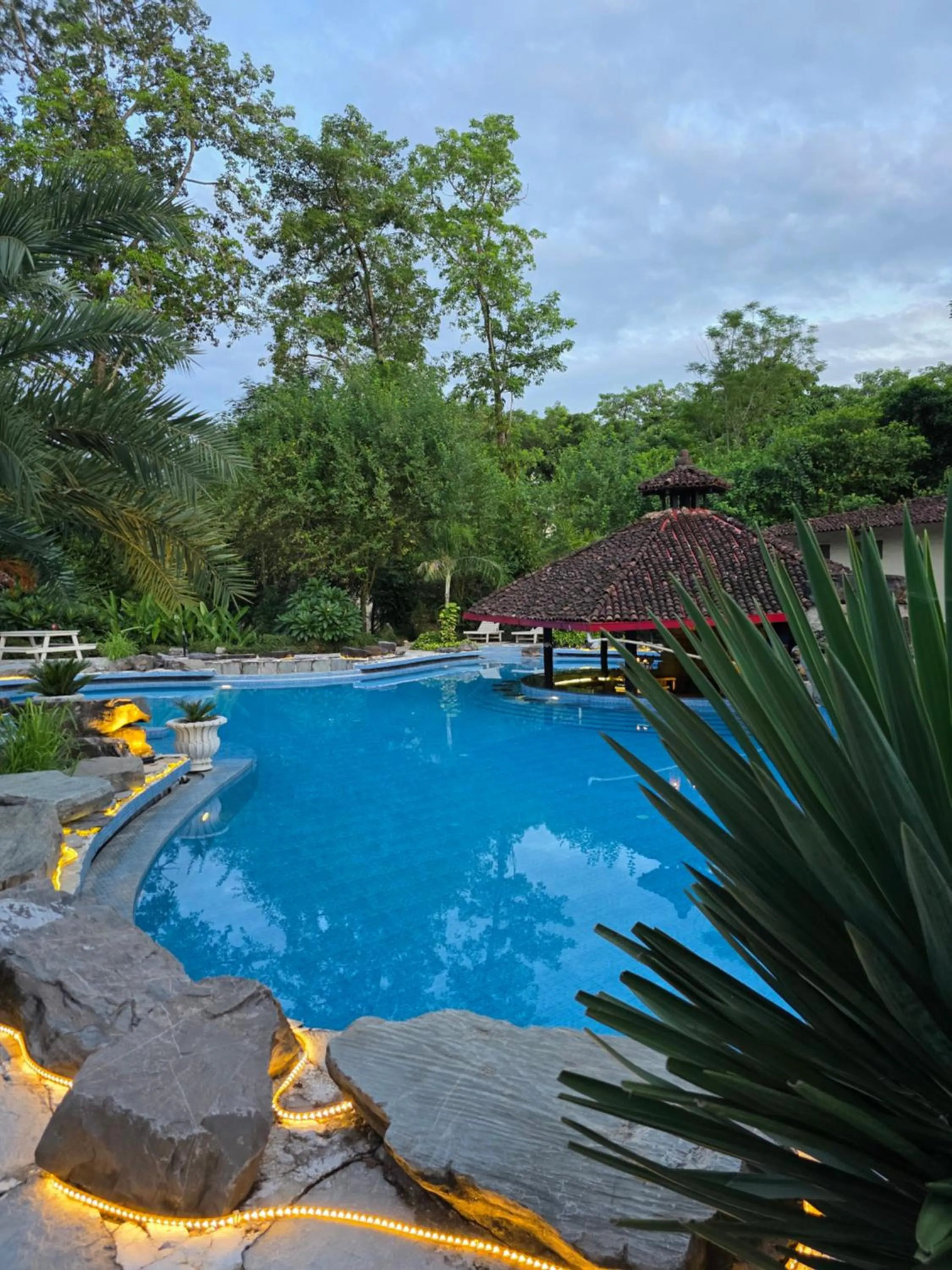 Natural landscape in Siddhartha Wildlife Retreat