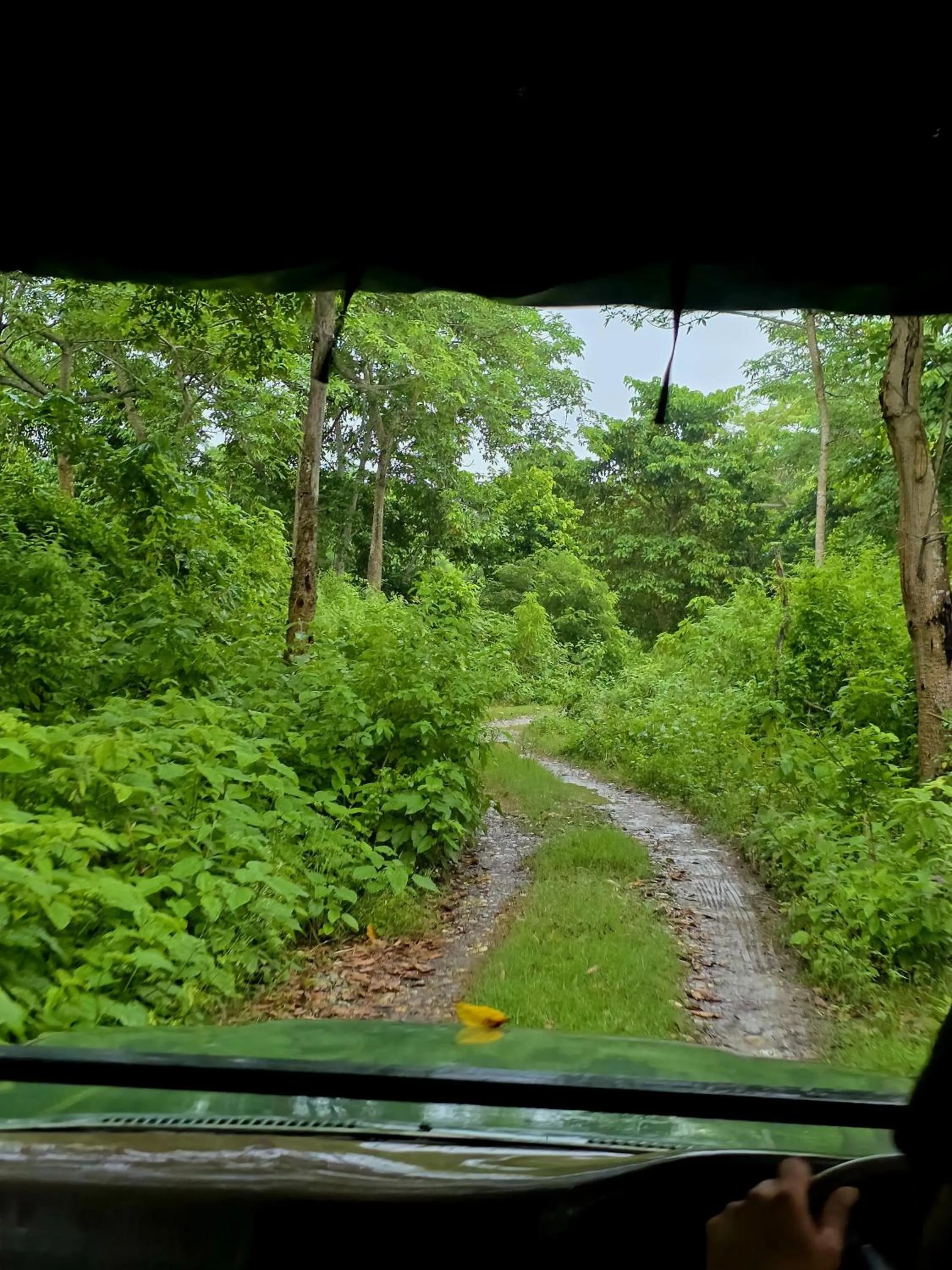 Natural landscape in Siddhartha Wildlife Retreat