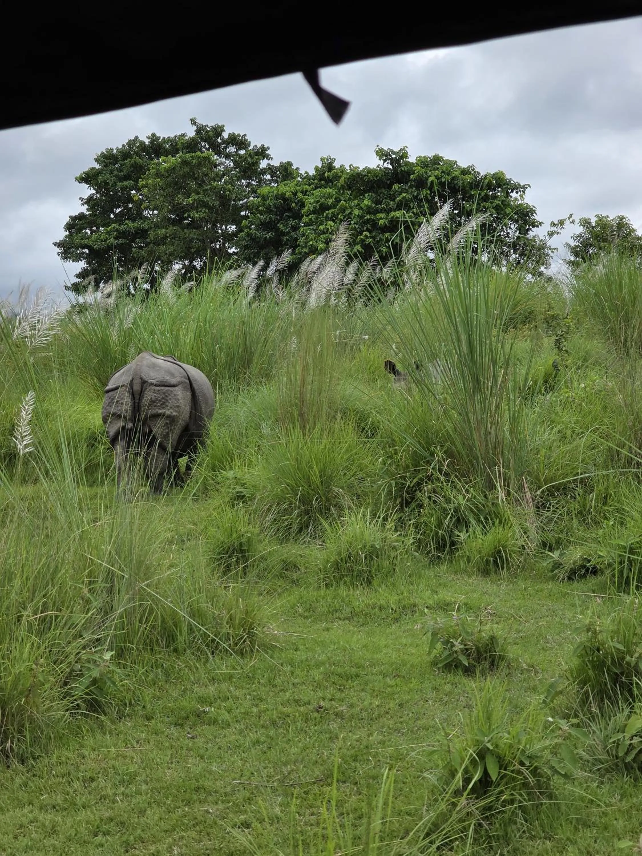 Natural landscape in Siddhartha Wildlife Retreat