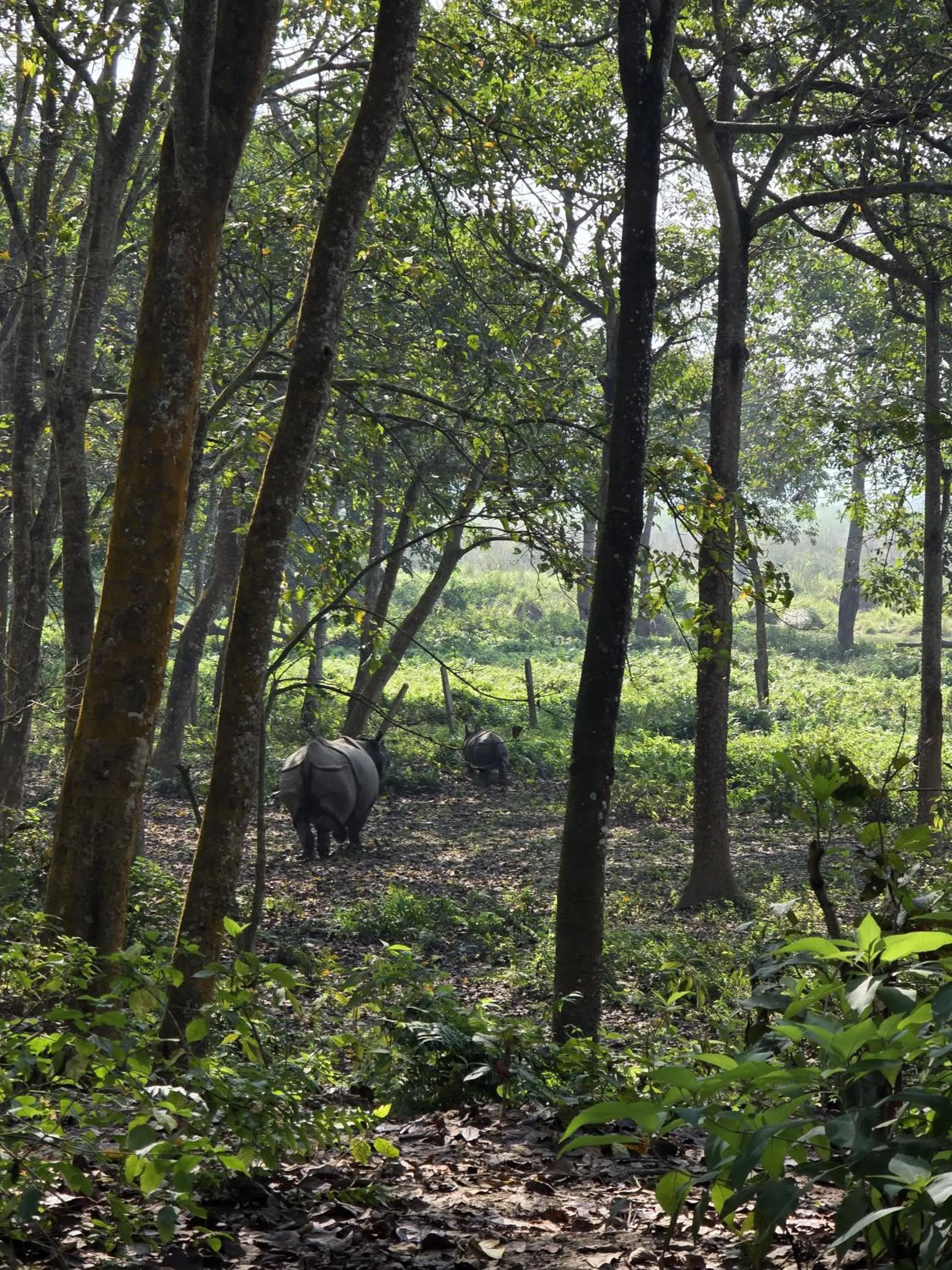 Natural landscape in Siddhartha Wildlife Retreat