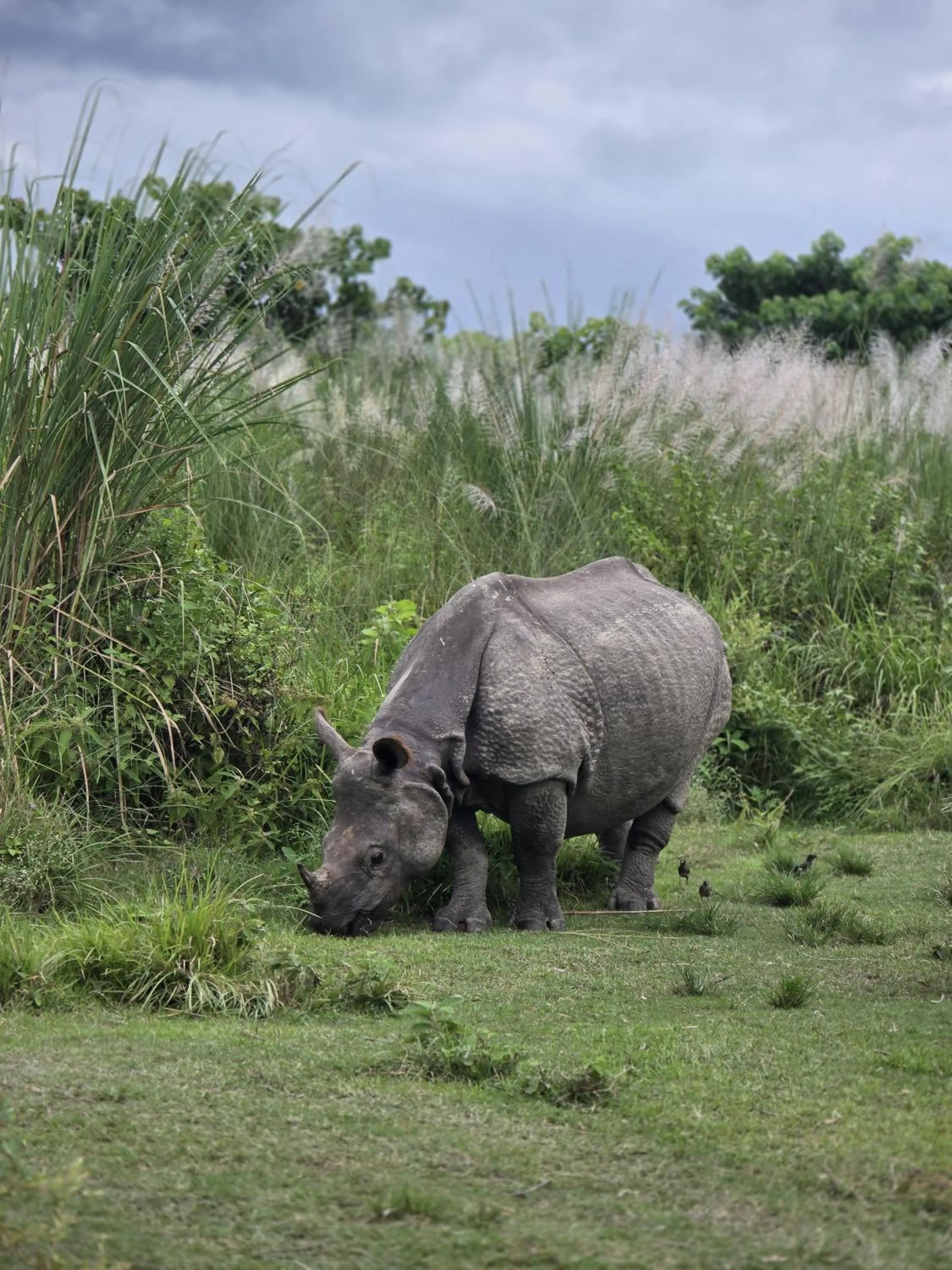 Day in Siddhartha Wildlife Retreat