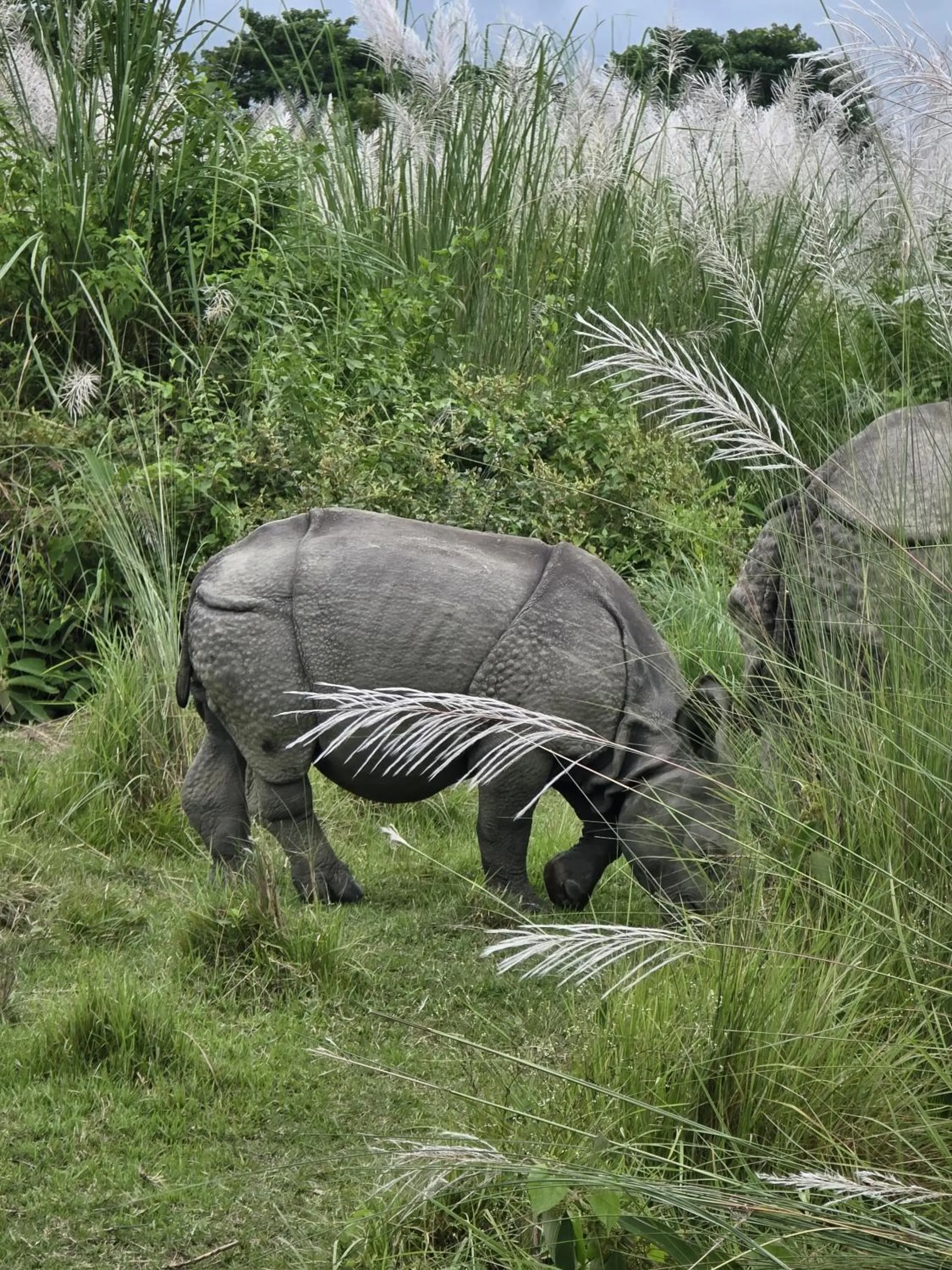 Natural landscape in Siddhartha Wildlife Retreat