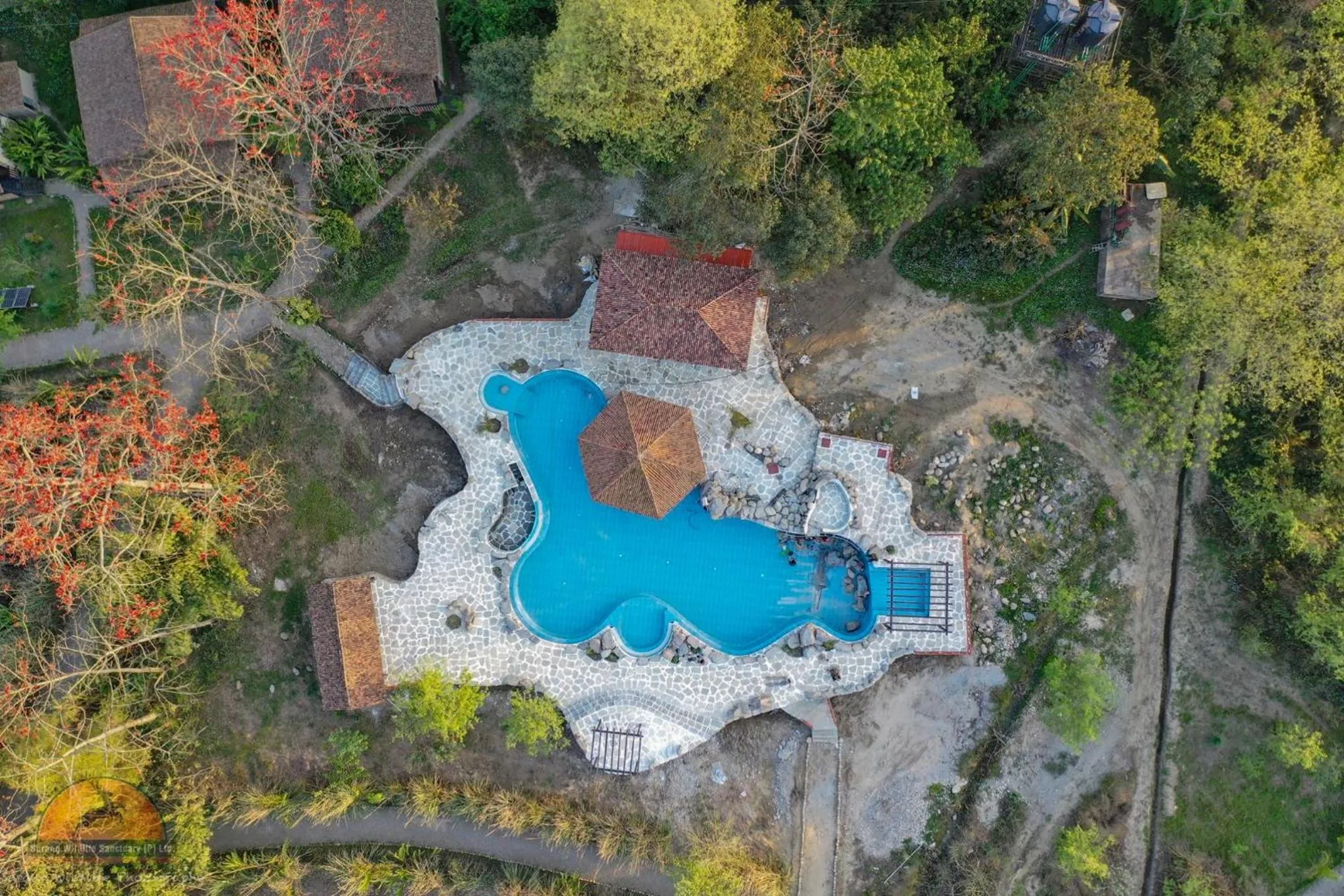 Pool view in Siddhartha Wildlife Retreat