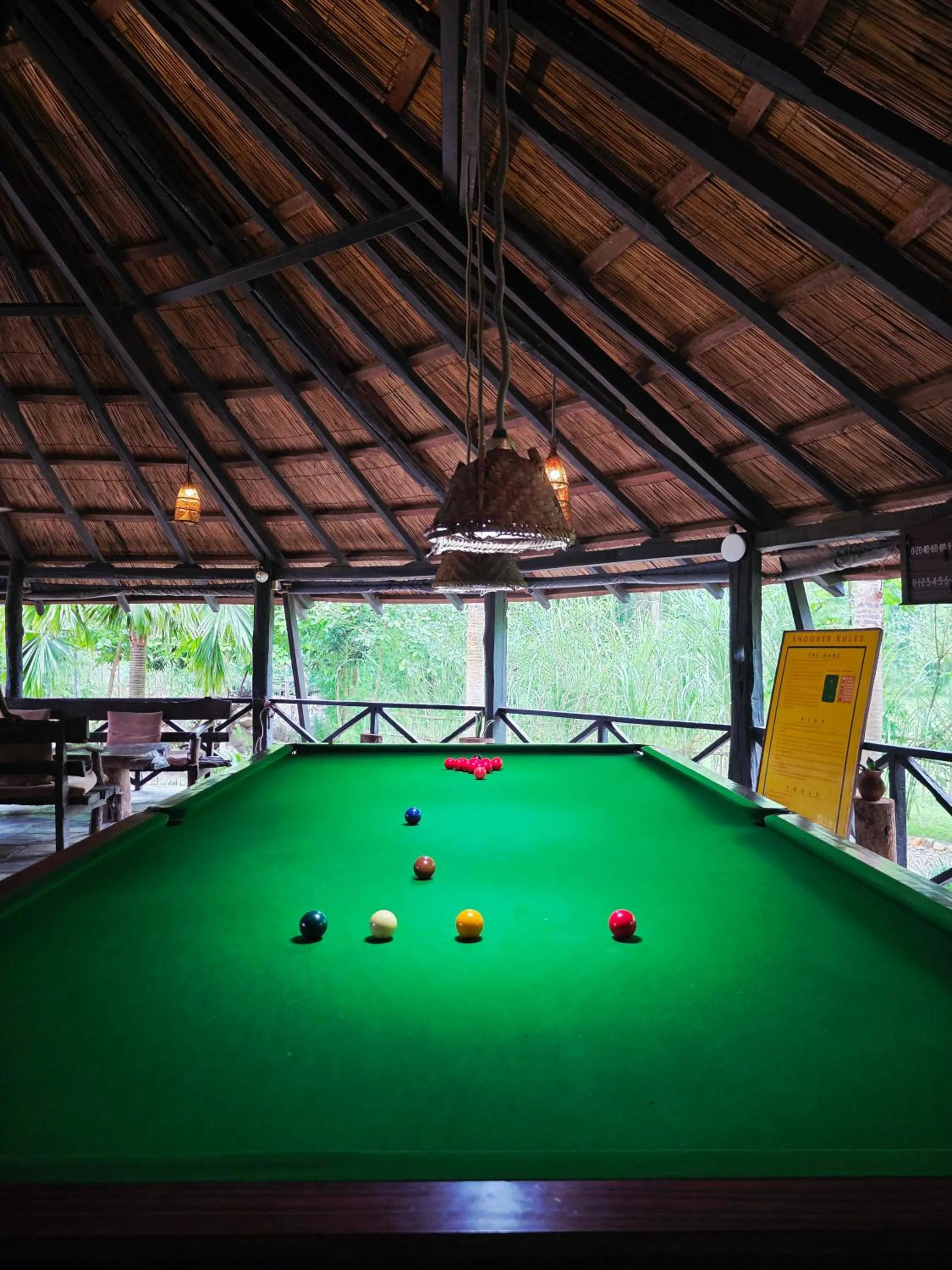 Billiard in Siddhartha Wildlife Retreat