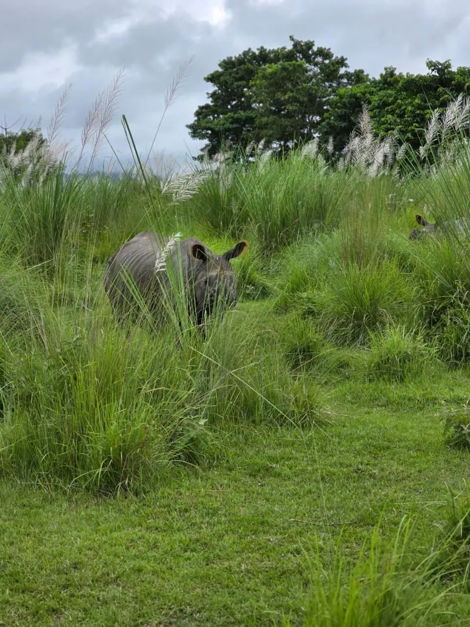 Day in Siddhartha Wildlife Retreat