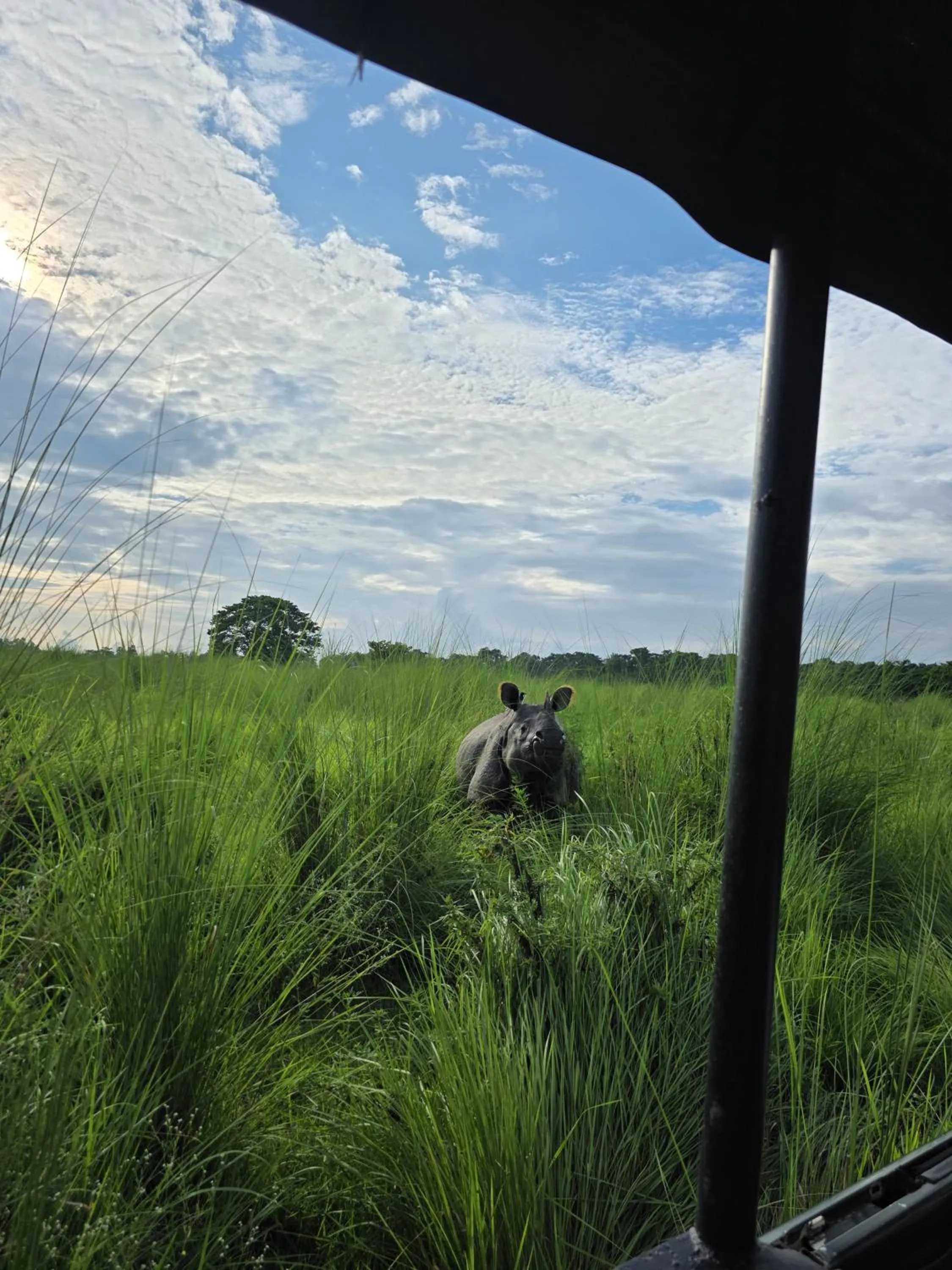 Natural landscape in Siddhartha Wildlife Retreat