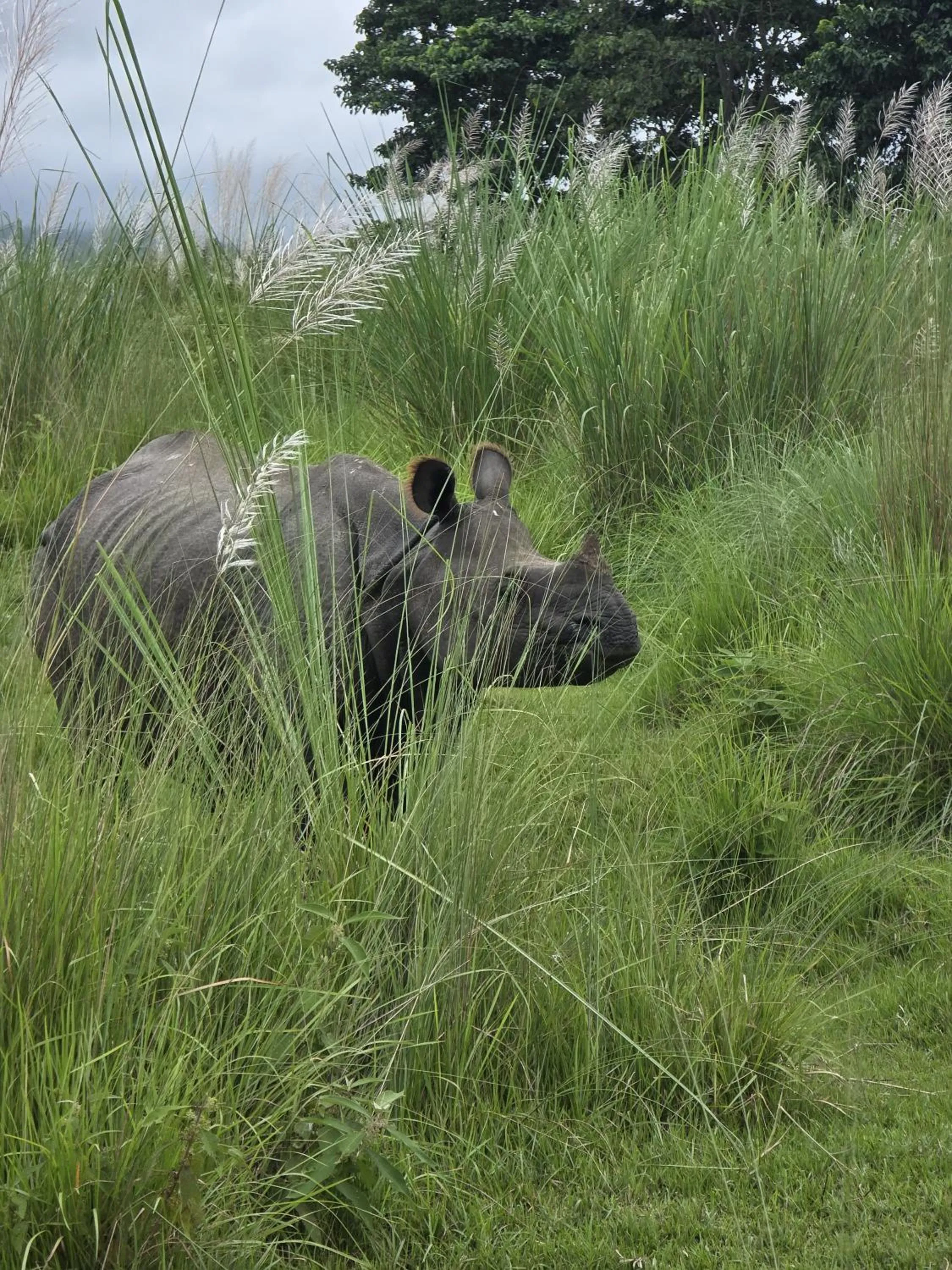 Natural landscape in Siddhartha Wildlife Retreat