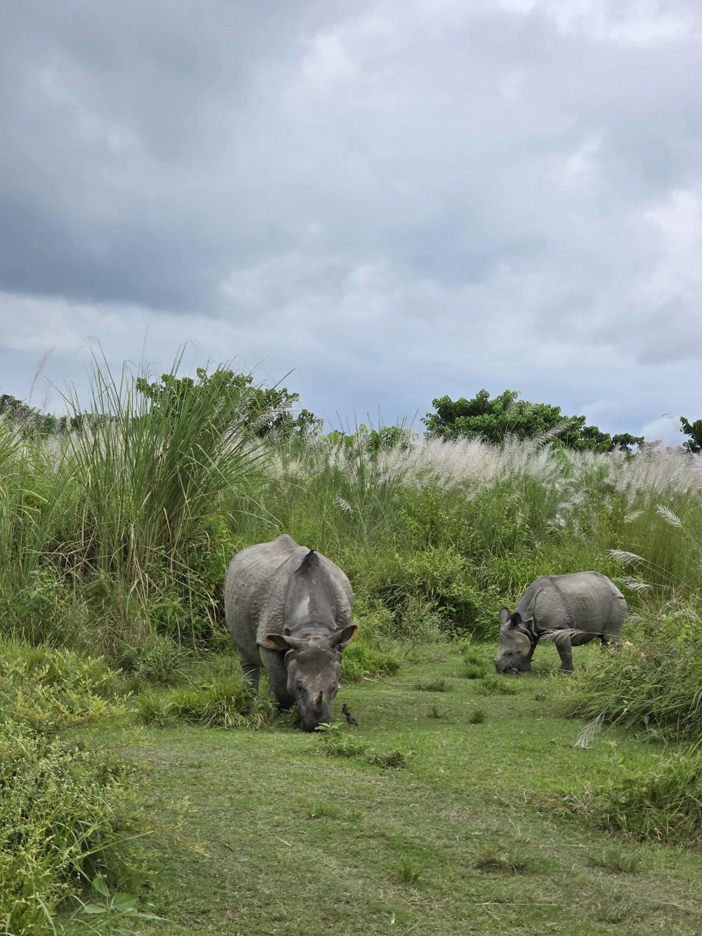 Natural landscape in Siddhartha Wildlife Retreat