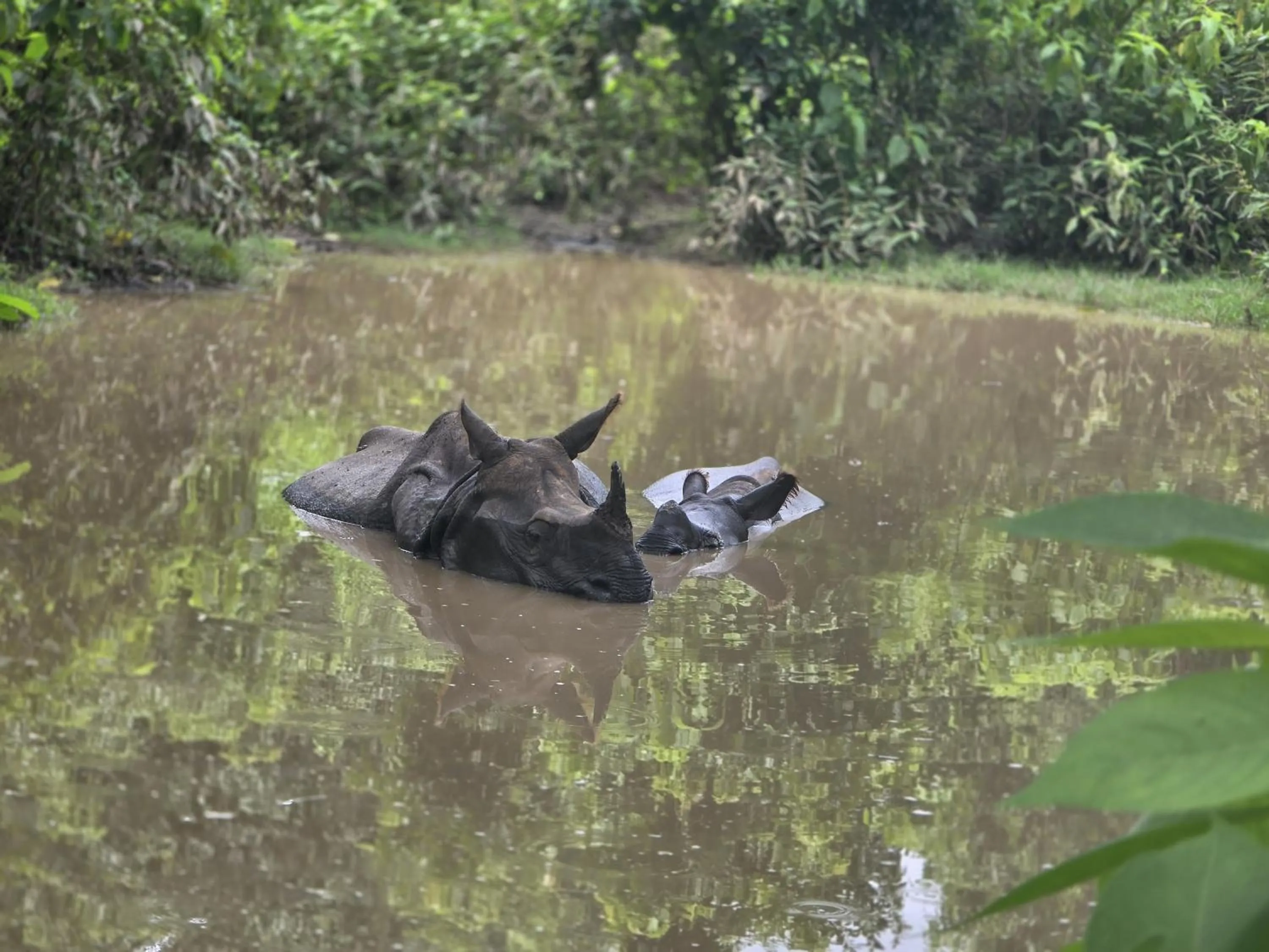 Natural landscape in Siddhartha Wildlife Retreat