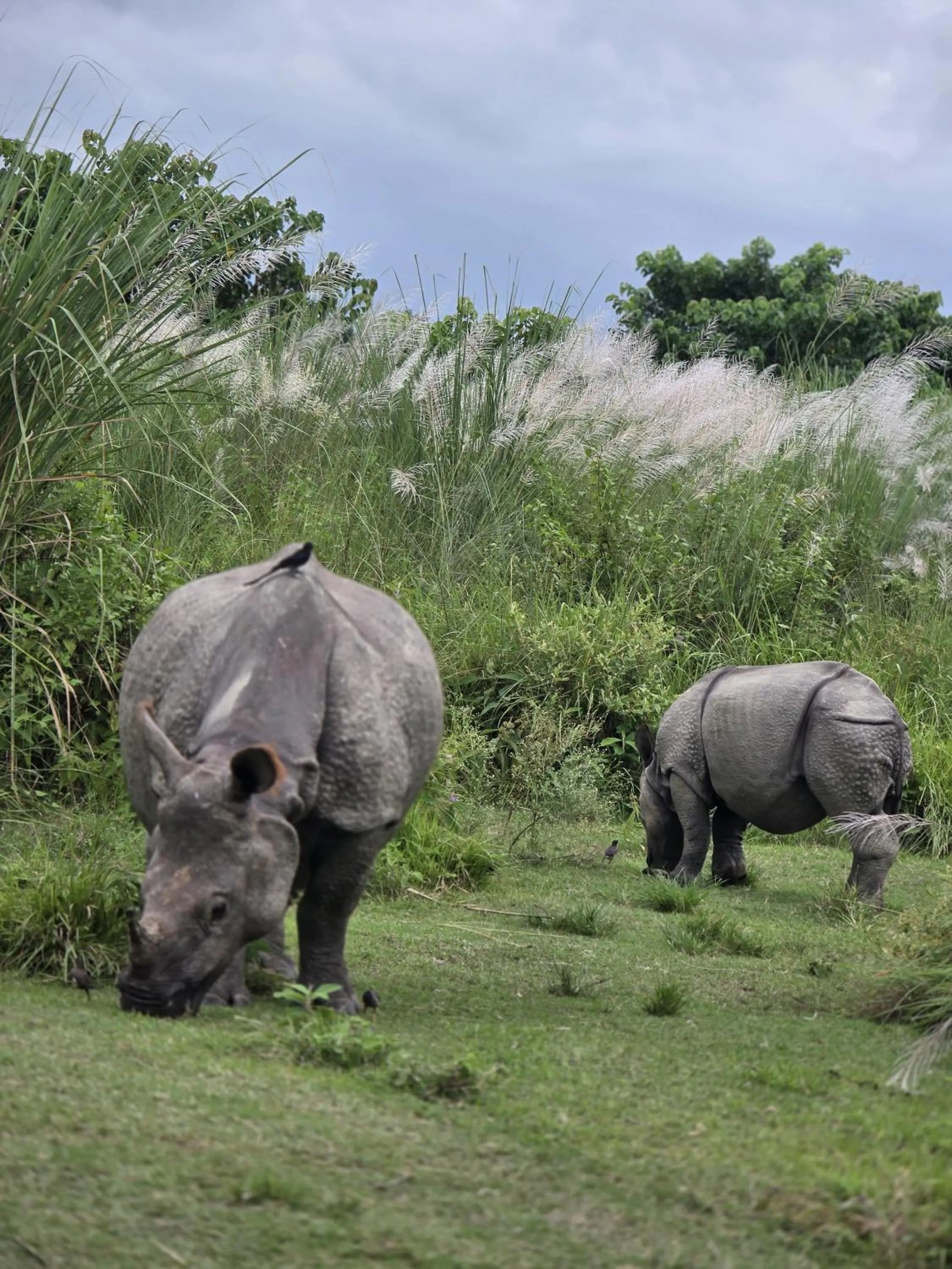Natural landscape in Siddhartha Wildlife Retreat