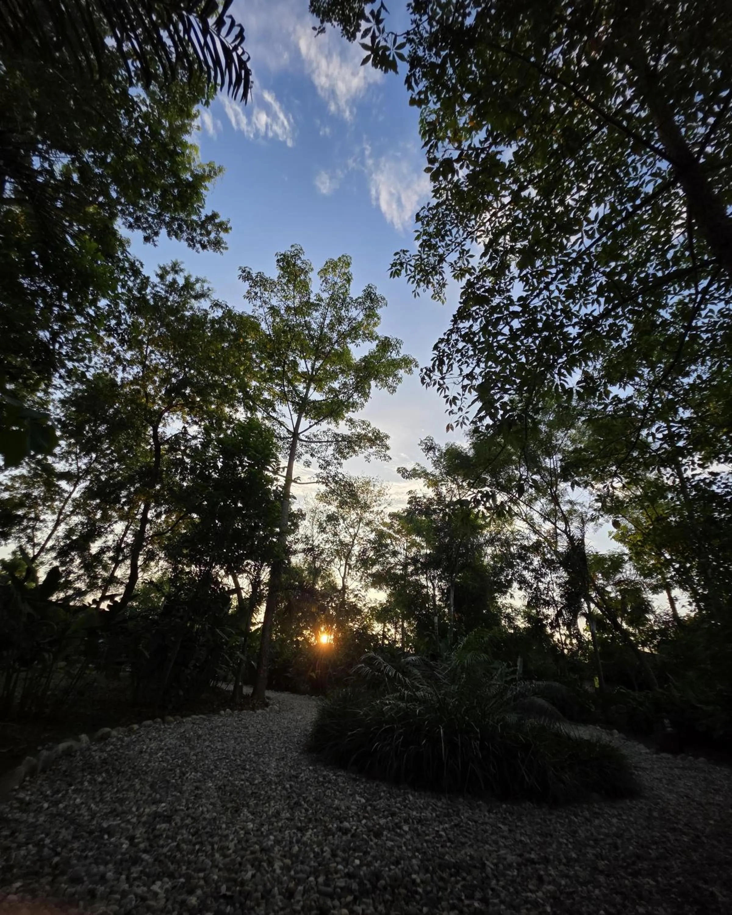 Natural landscape in Siddhartha Wildlife Retreat