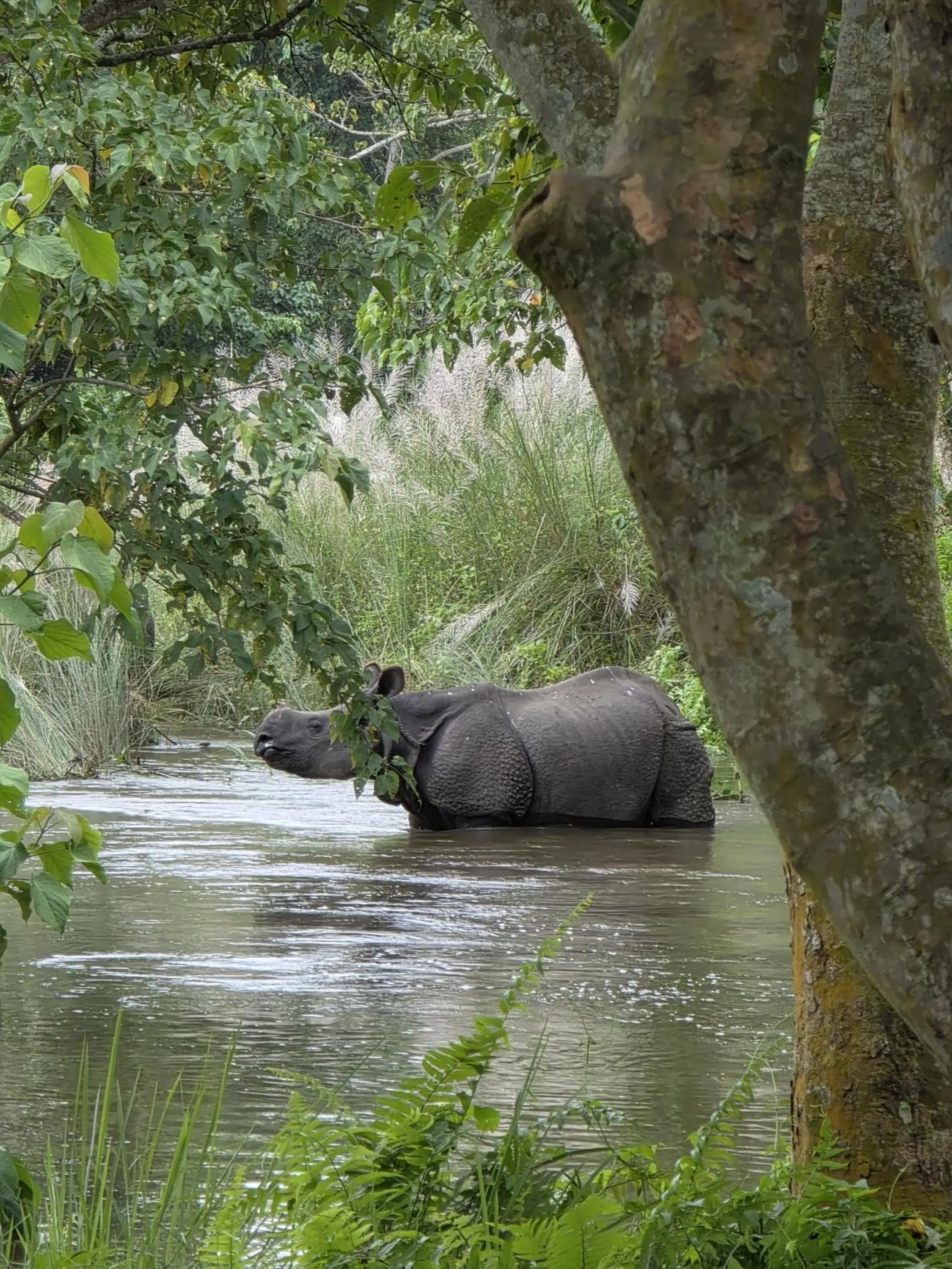Natural landscape in Siddhartha Wildlife Retreat