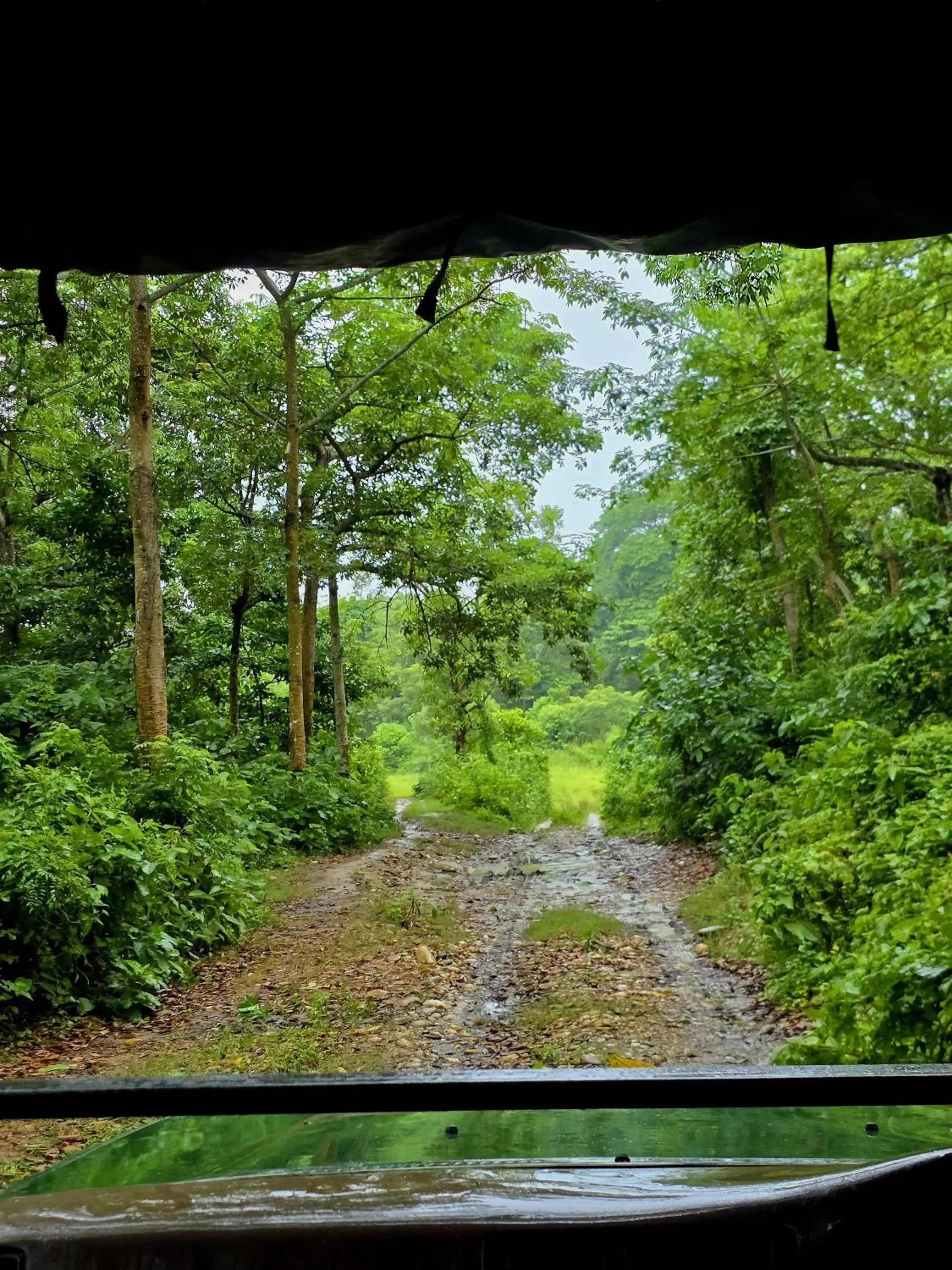 Natural landscape in Siddhartha Wildlife Retreat