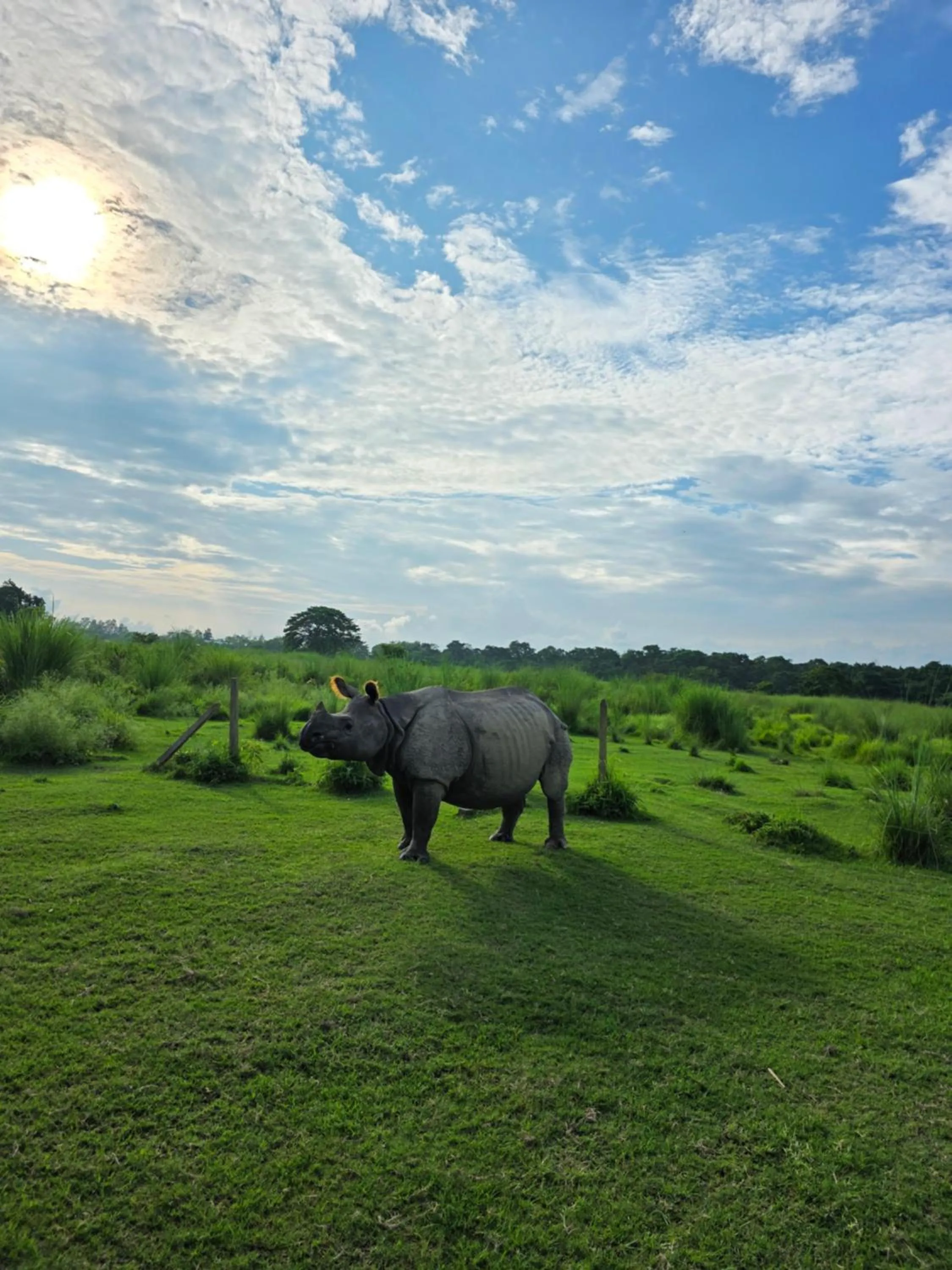 Natural landscape in Siddhartha Wildlife Retreat