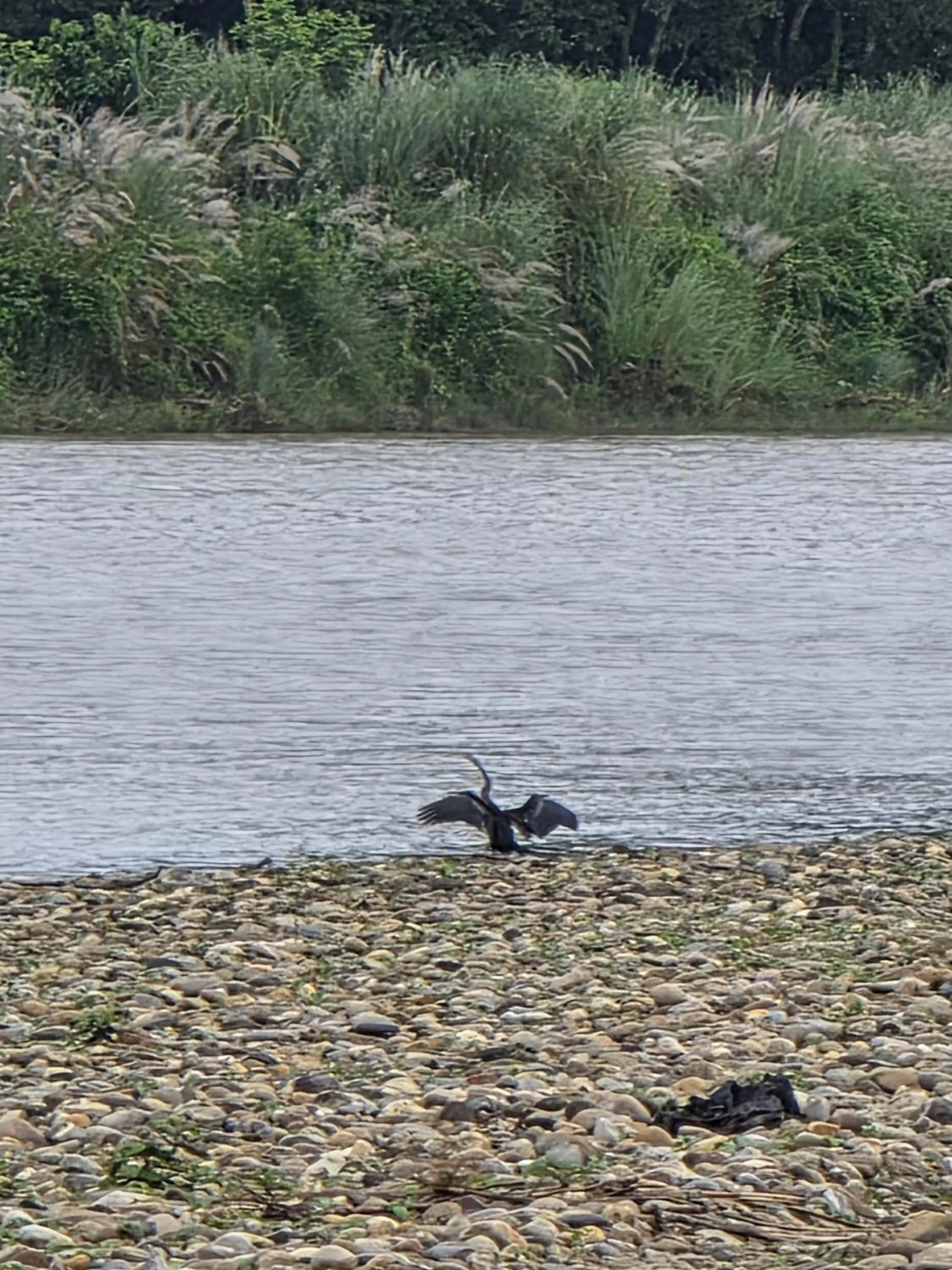 Natural landscape in Siddhartha Wildlife Retreat