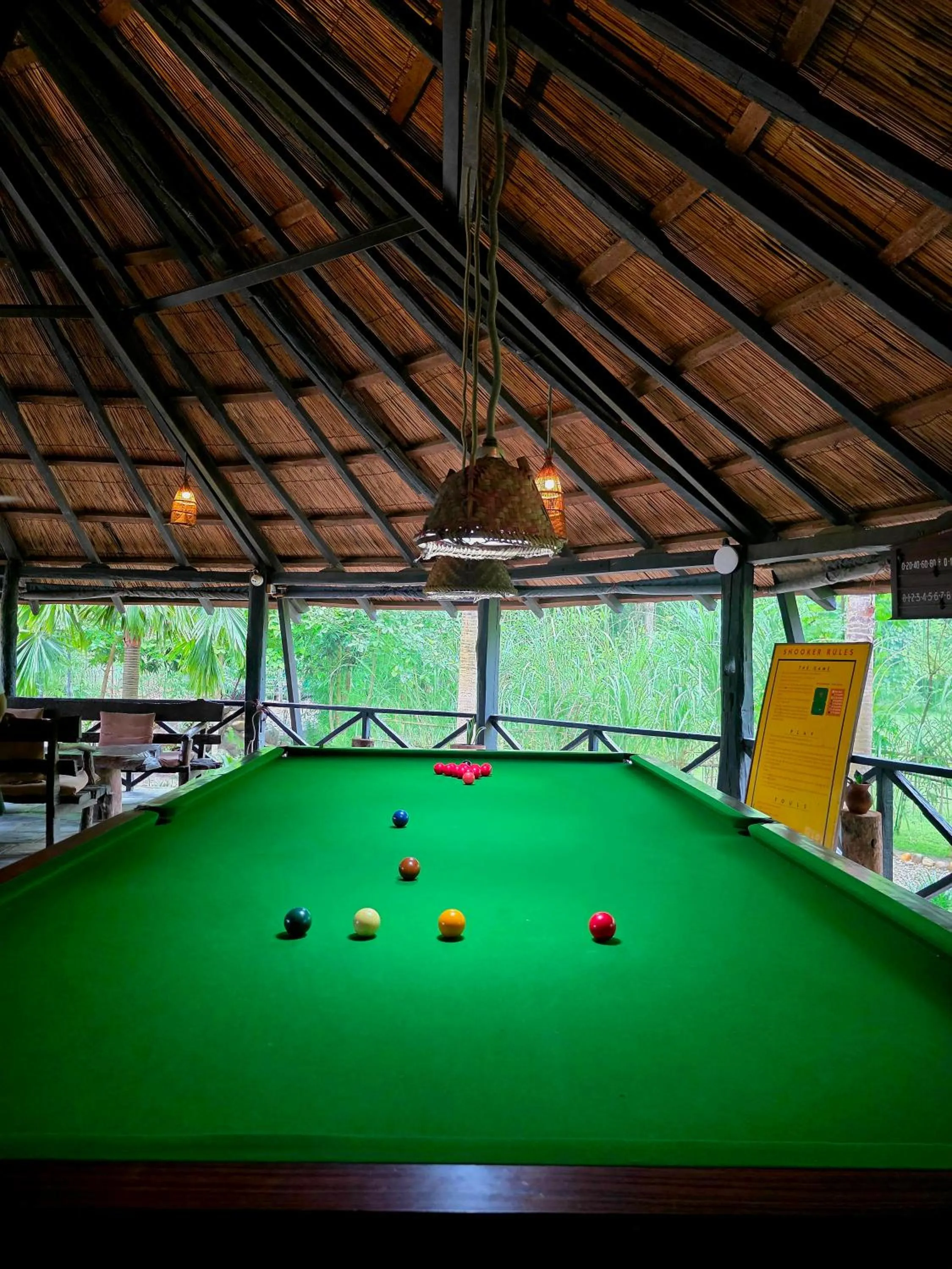 Billiard in Siddhartha Wildlife Retreat