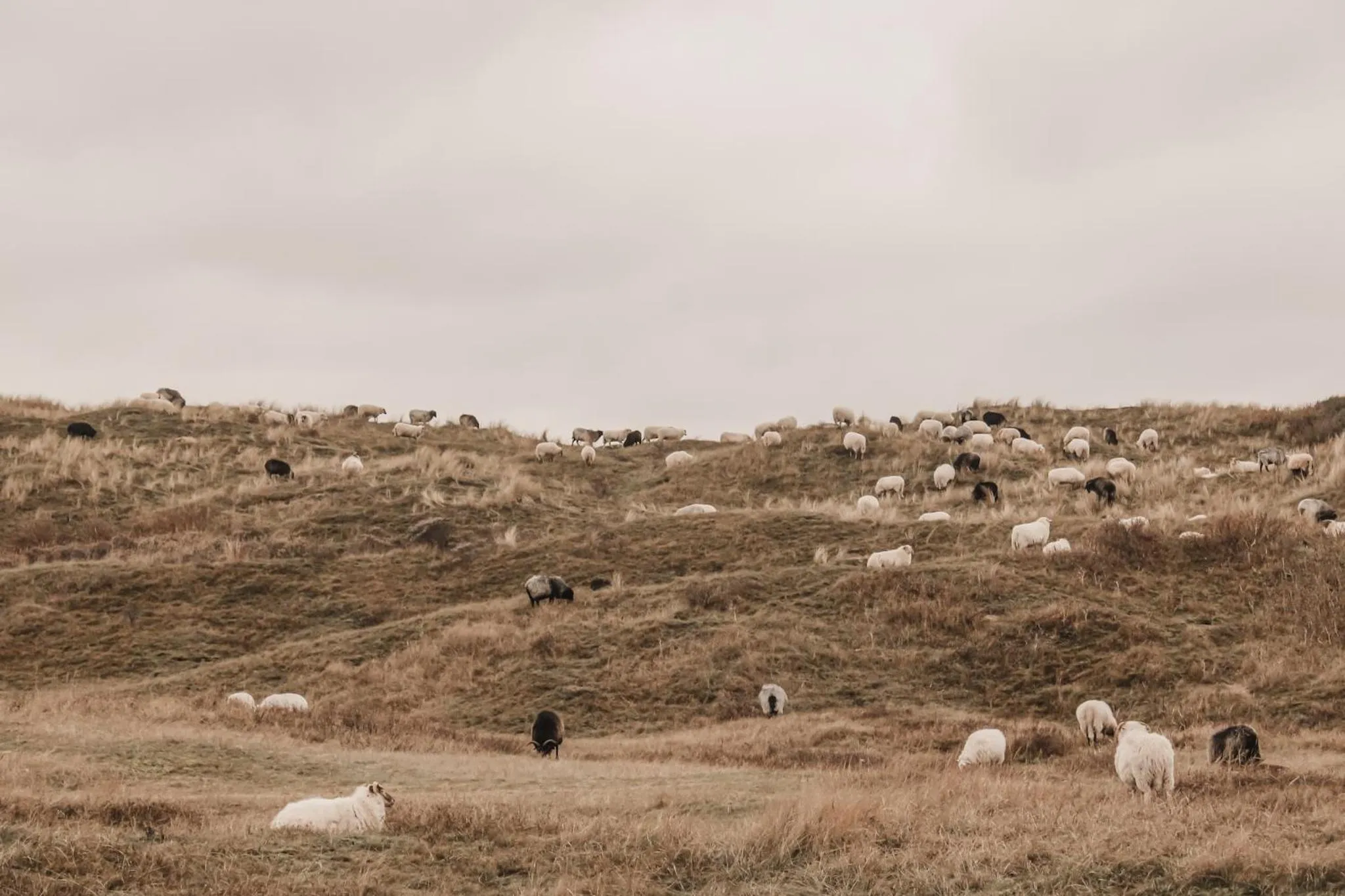 Natural landscape in Hotel Huize Koningsbosch