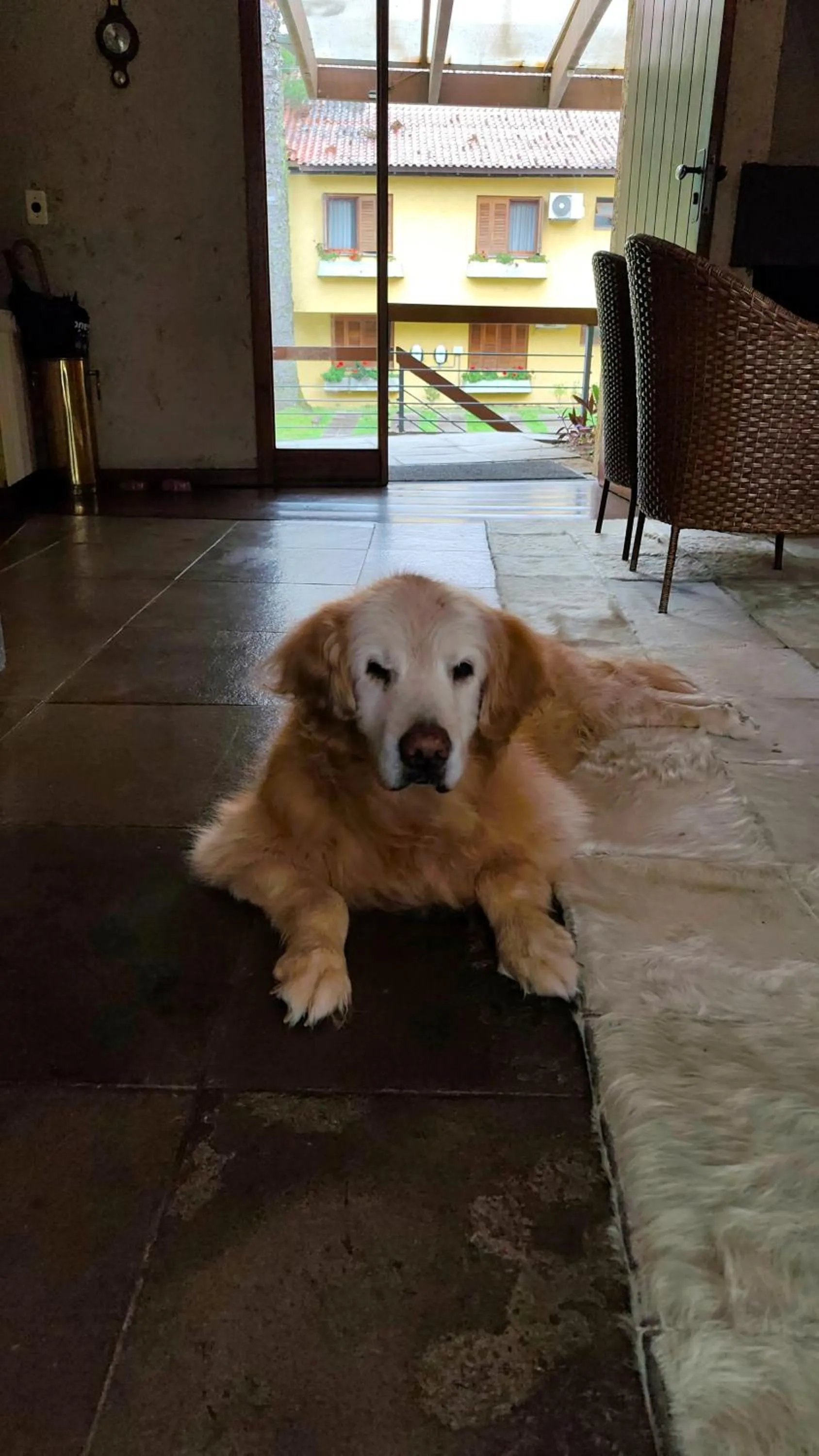 Pets in Estalagem Vila Suzana - Quadra de Beach Tennis Indoor