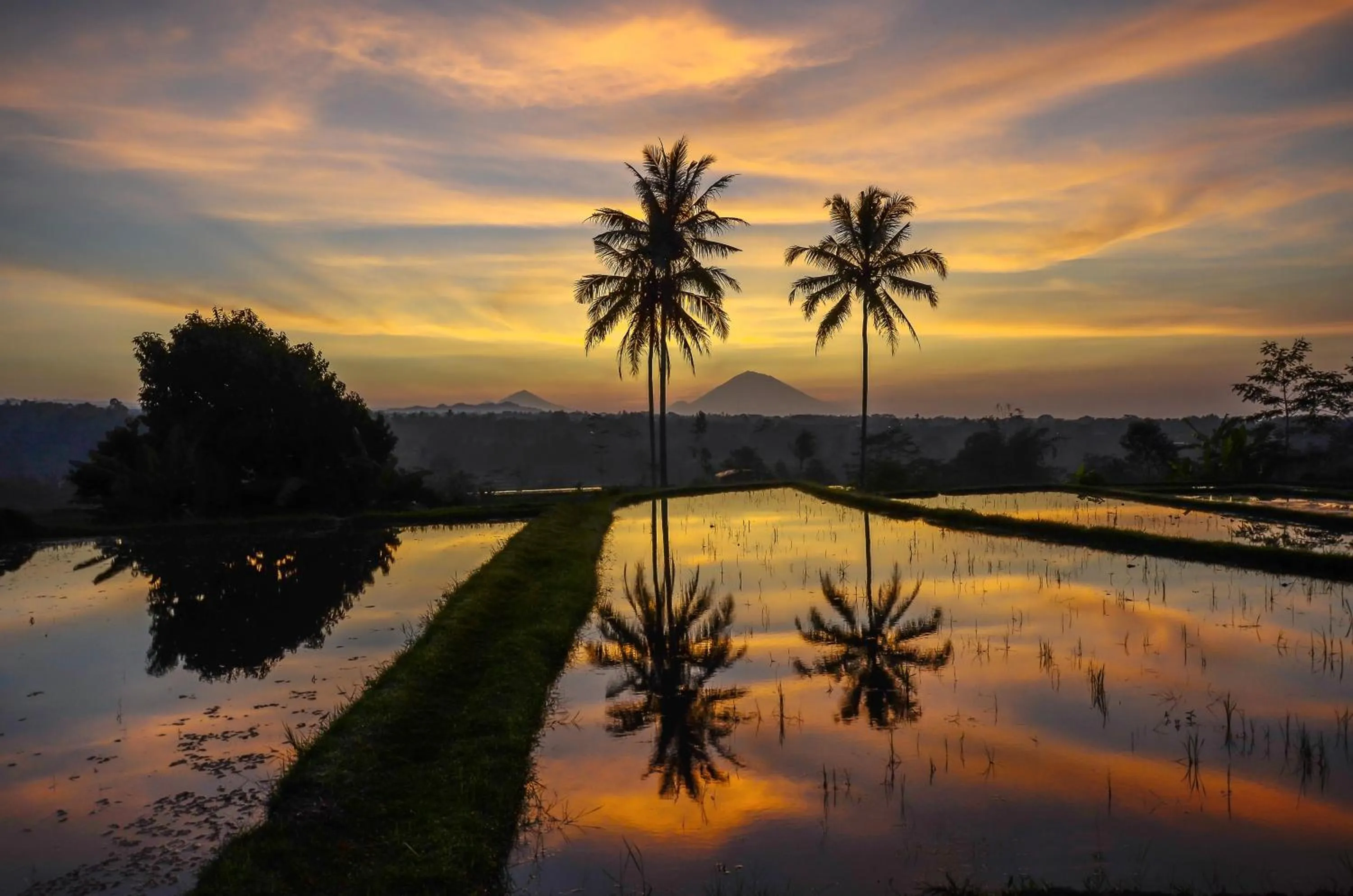 Natural landscape in Ti Amo Bali