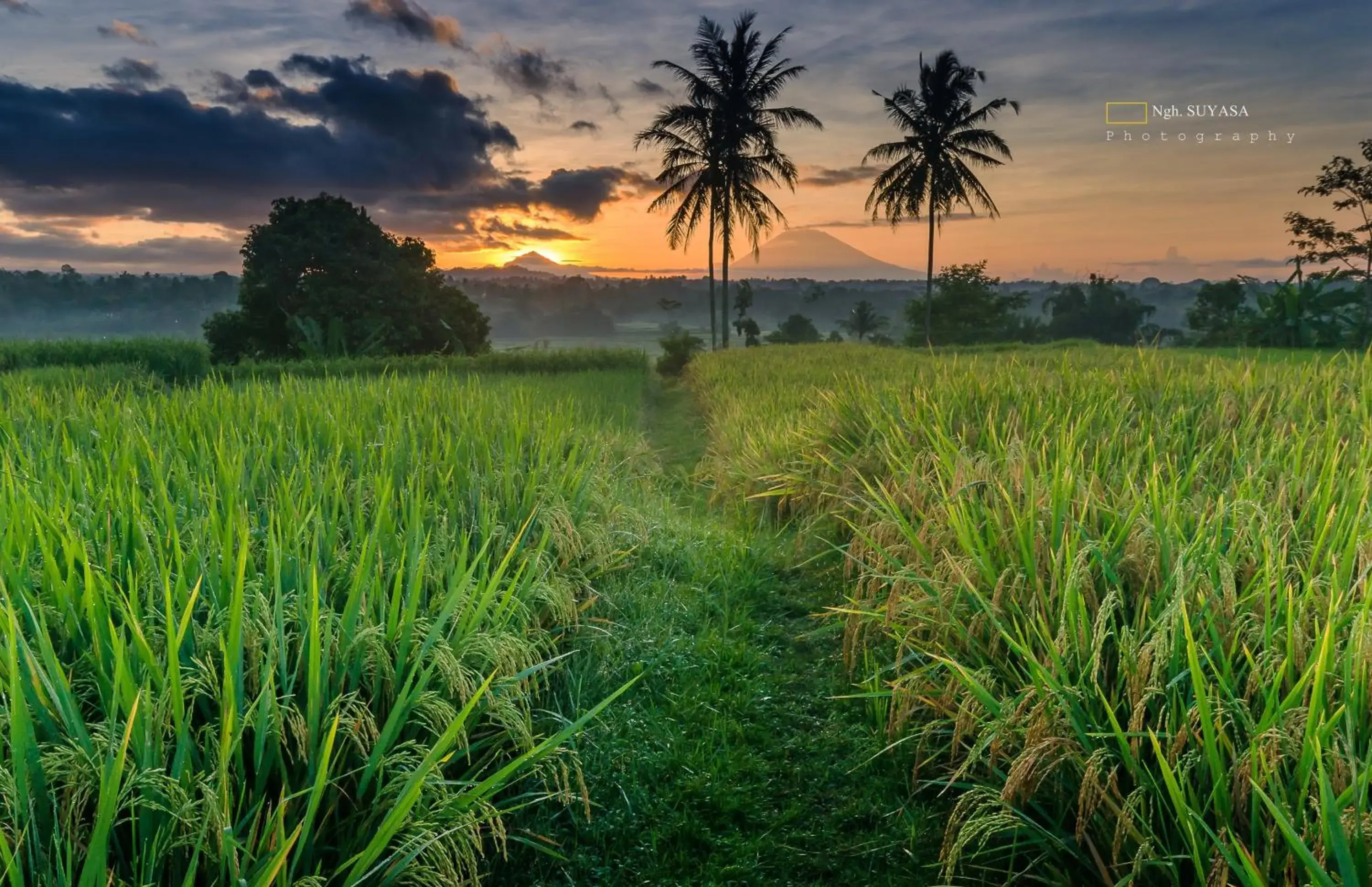 Joglo Single Room in Ti Amo Bali Joglo Single Room in Ti Amo Bali