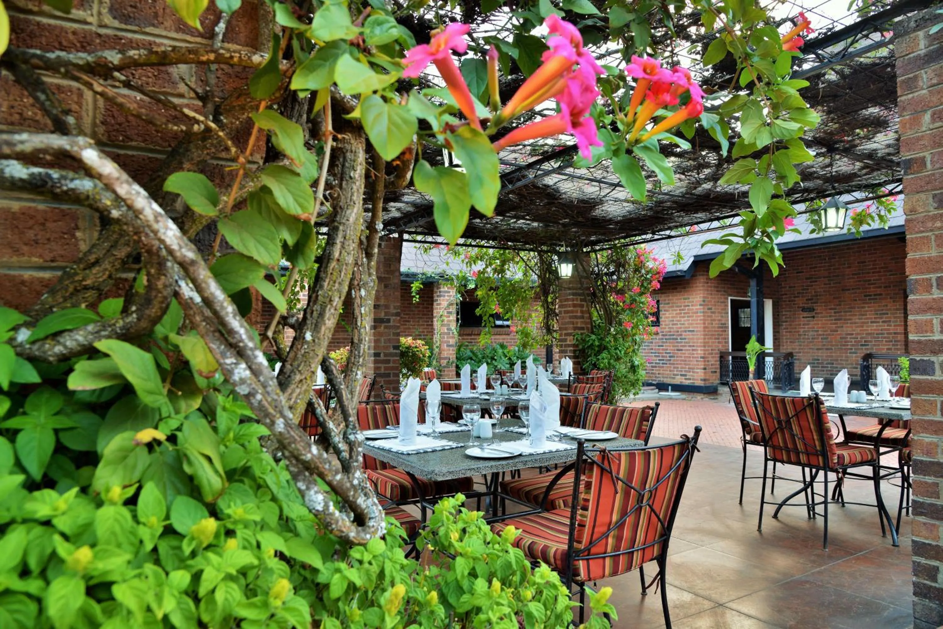 Restaurant/places to eat in Cresta Churchill Hotel