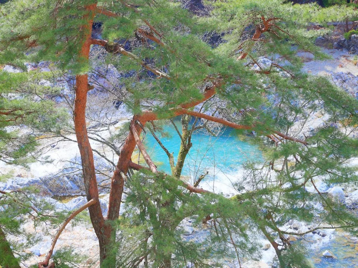River view in Kinugawa Onsen Hana no Yado Matsuya
