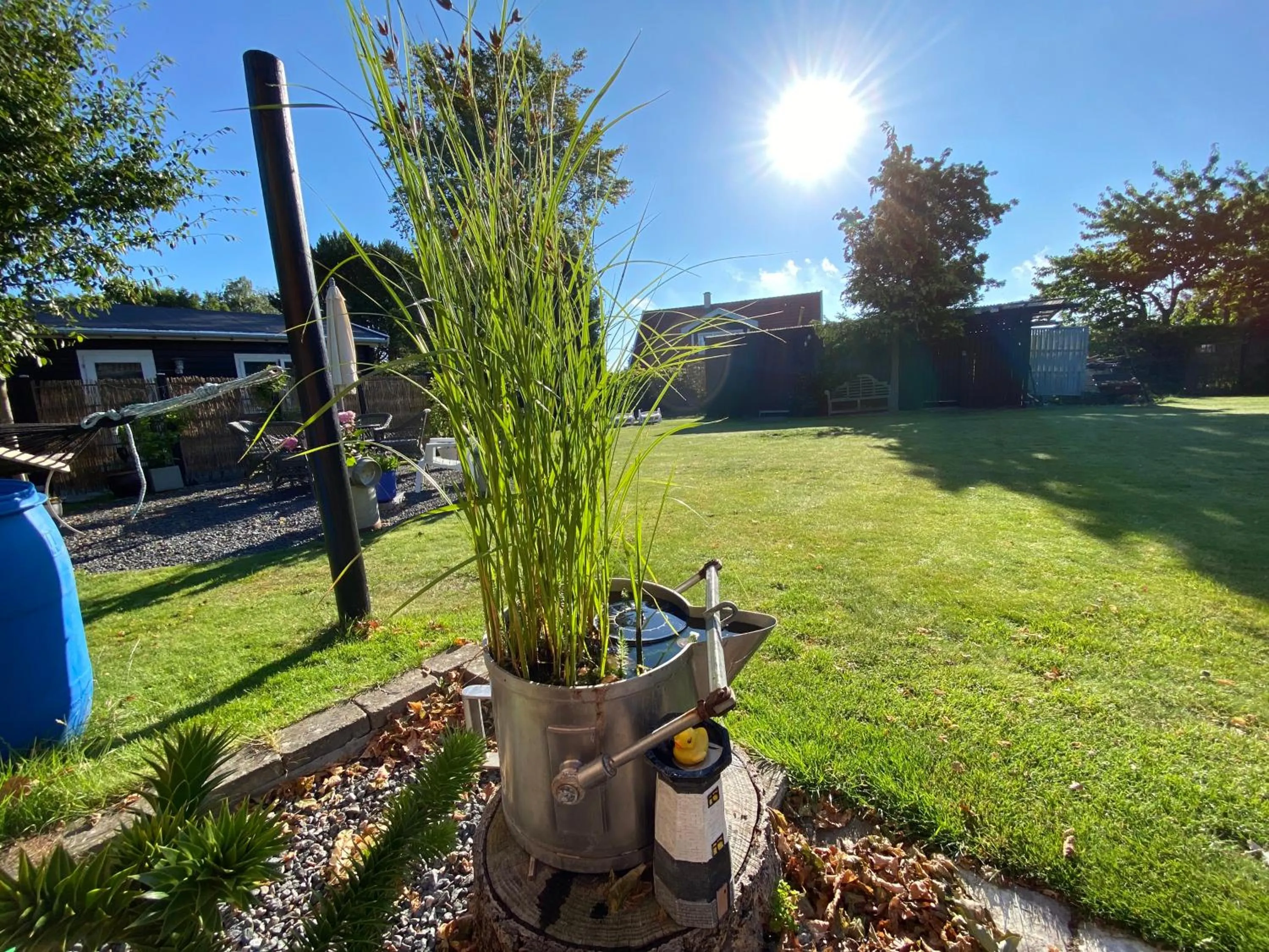 Garden in Piccobello Bed & Breakfast Valløby Køge