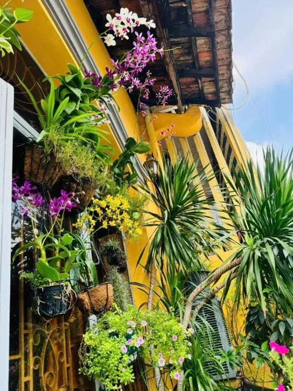 Son Tung Hotel - De Tham Street