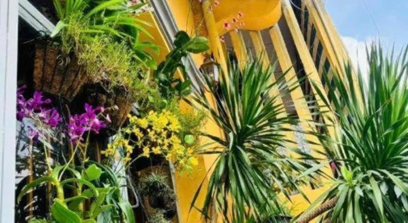 Son Tung Hotel - De Tham Street