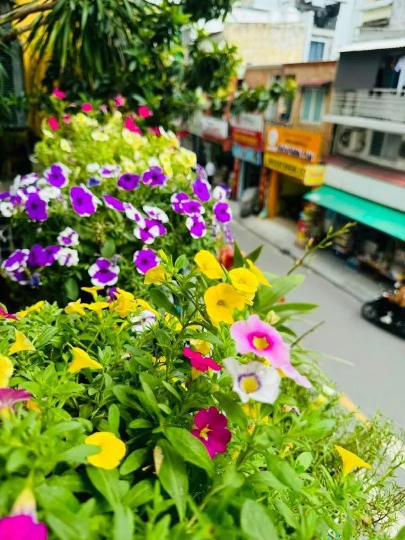 Son Tung Hotel - De Tham Street