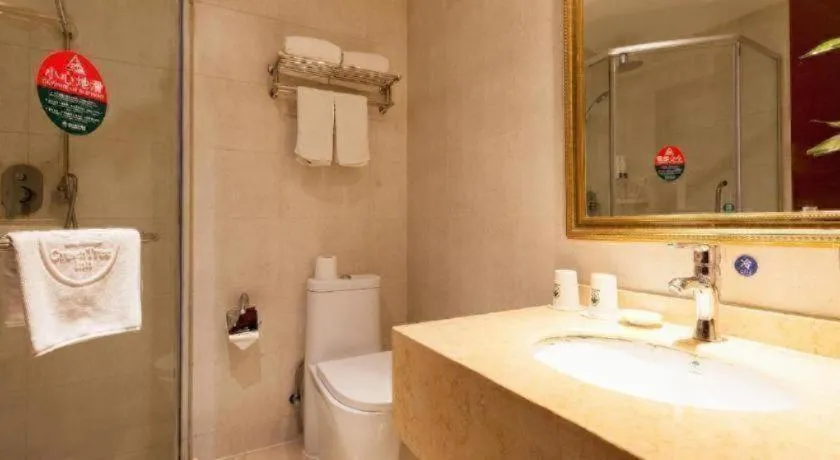 GreenTree Inn Shanghai Songjiang WanDa Plaza RonGMEi Road Express Hotel