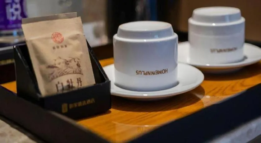 Home Inn Plus Shanghai Zhangjiang Guanglan Road Metro Station