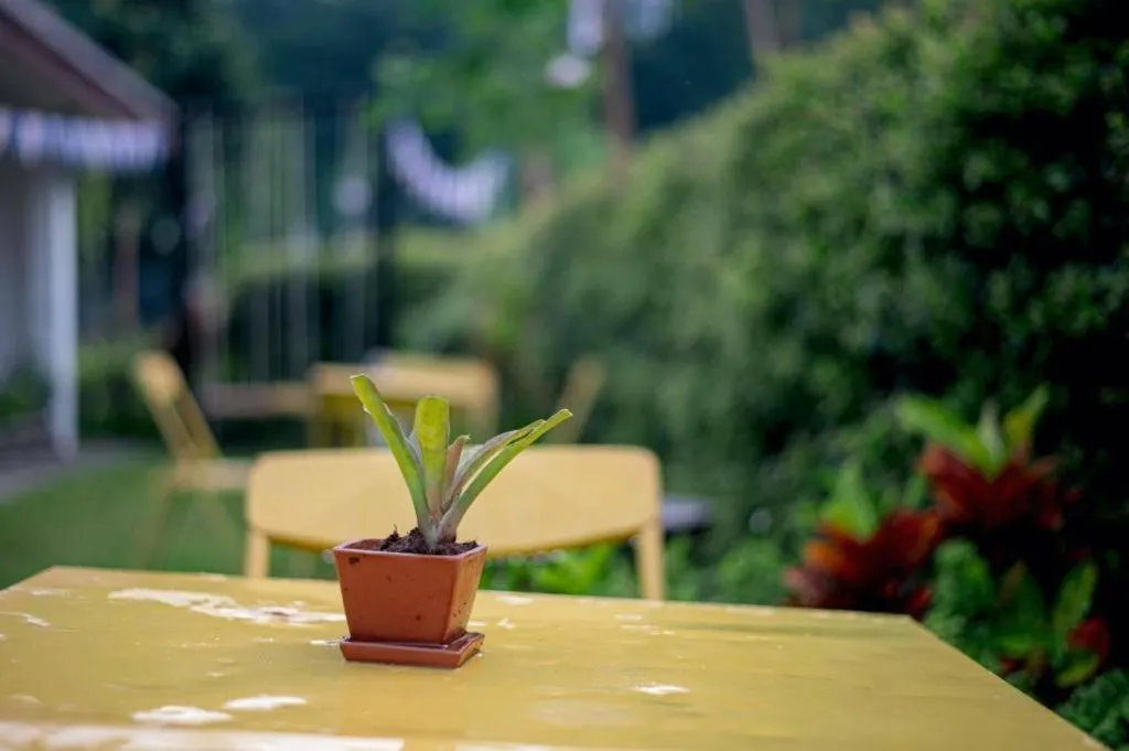 CoZy House Chiangrai