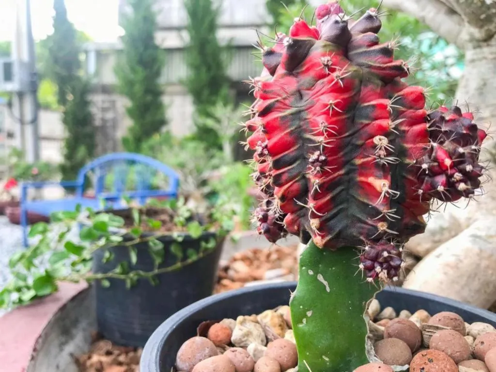 Delighted Bangkok Hotel