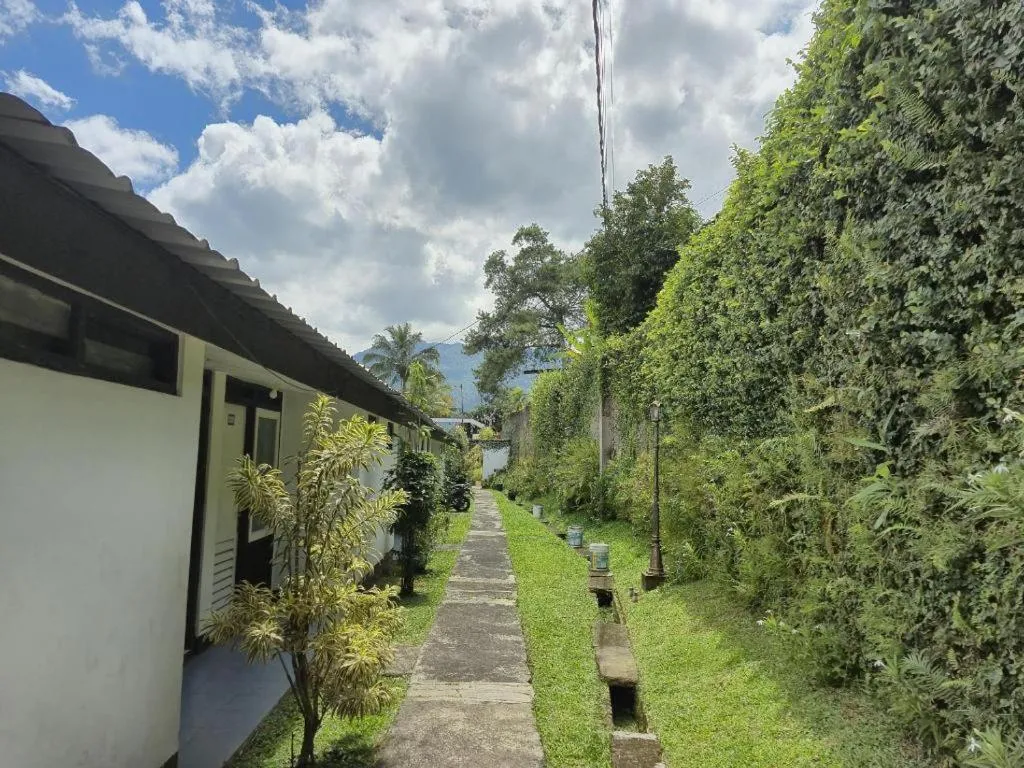 Capital O 94094 New Lembah Nyiur