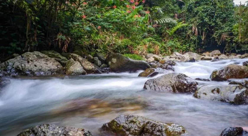 Capital O 94094 New Lembah Nyiur