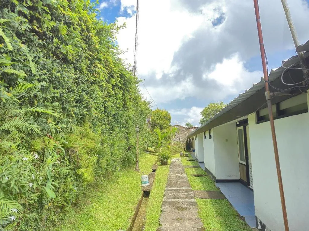 Capital O 94094 New Lembah Nyiur