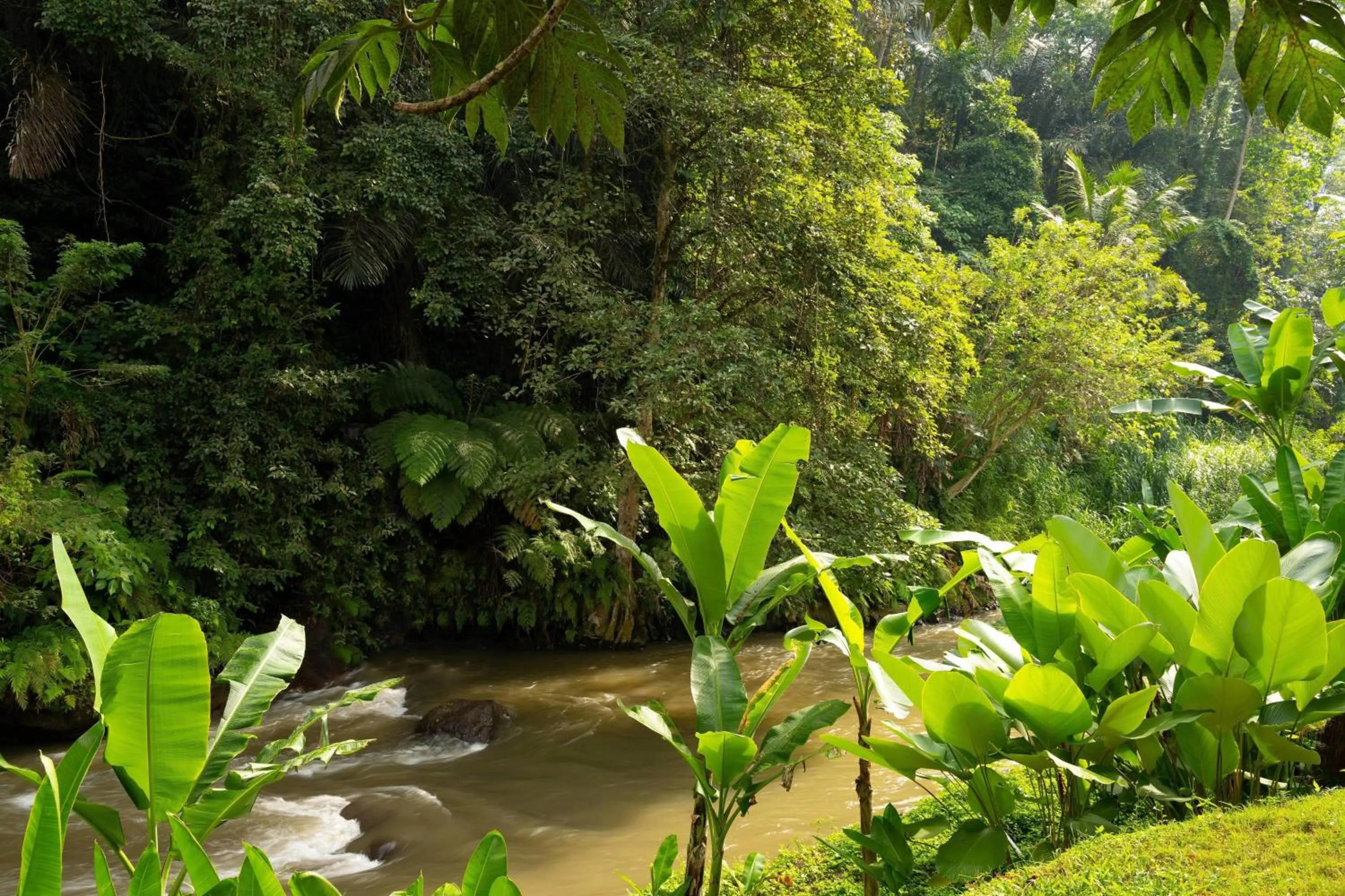 Swimming pool in Mandapa, a Ritz-Carlton Reserve