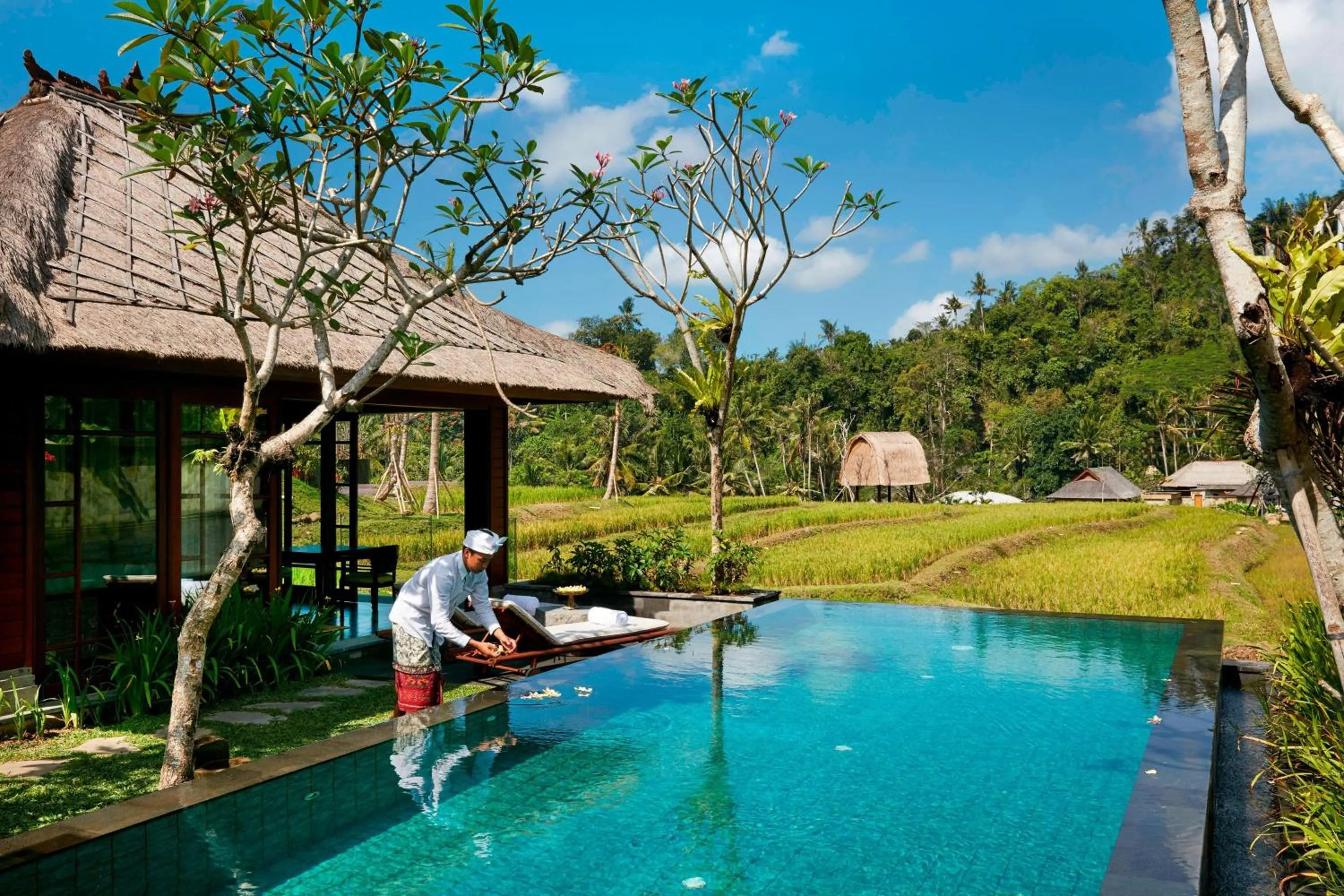 Swimming pool in Mandapa, a Ritz-Carlton Reserve
