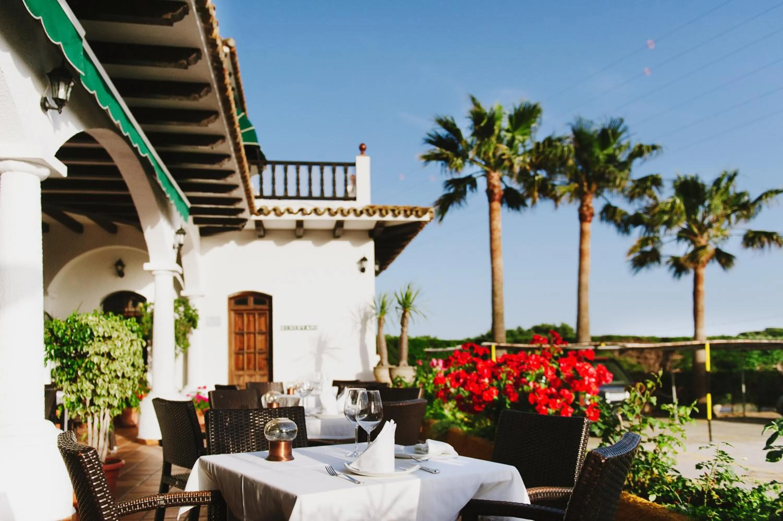 Restaurant/places to eat in La Codorniz