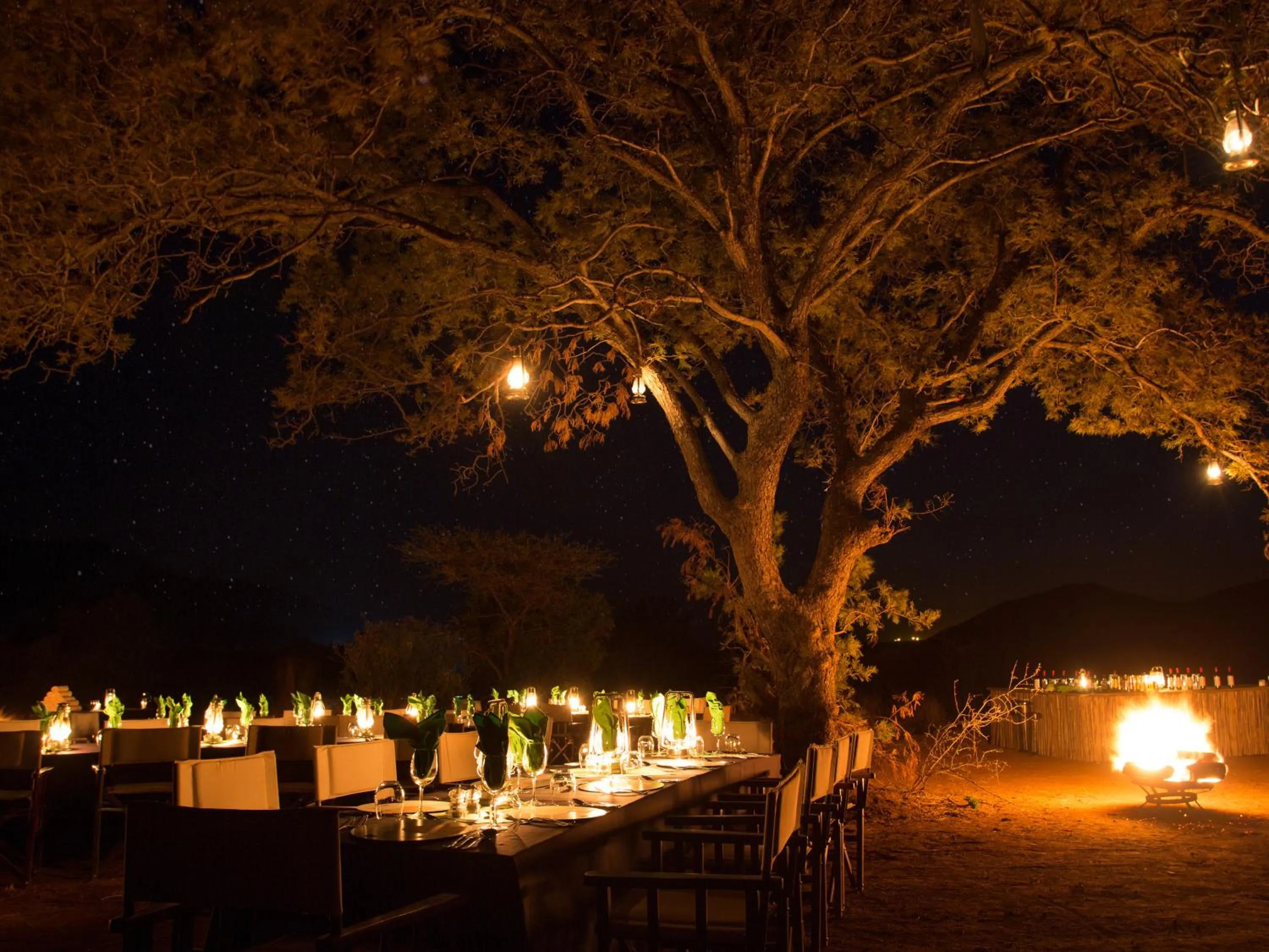 View (from property/room) in Shepherds Tree Game Reserve