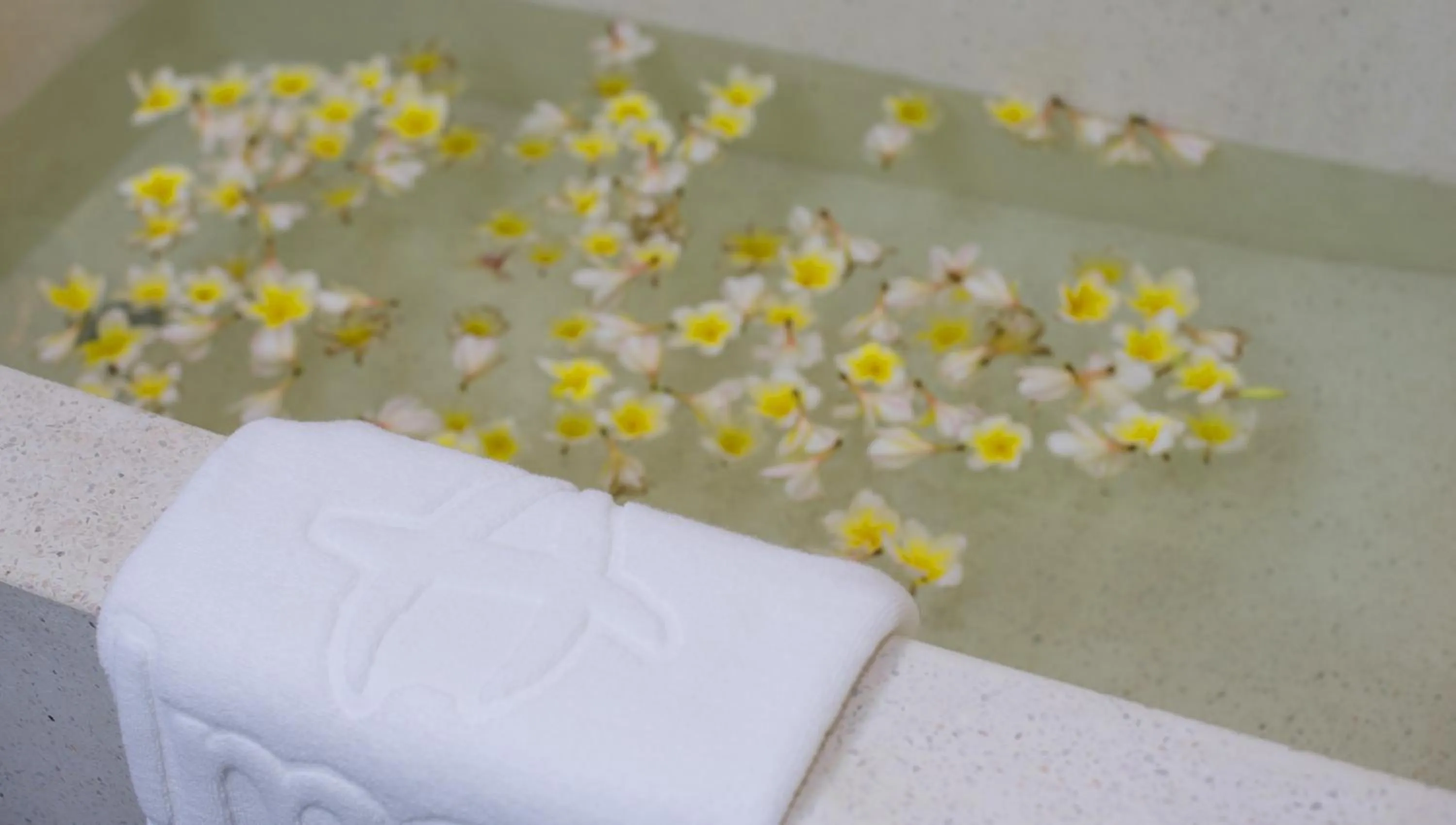 Area and facilities in Almond Hotel Bassac River