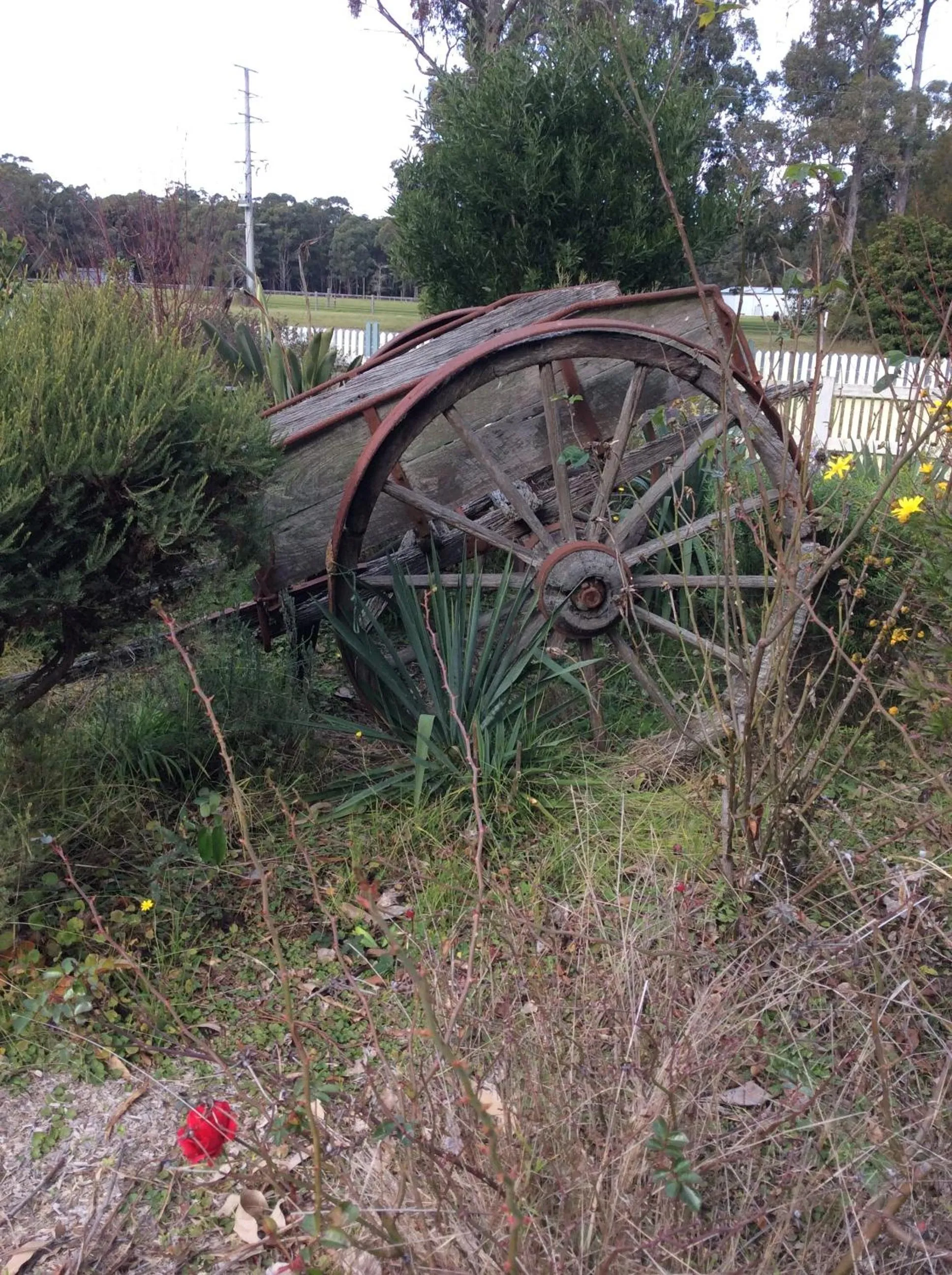 Decorative detail in Snowy River Lodge Motel