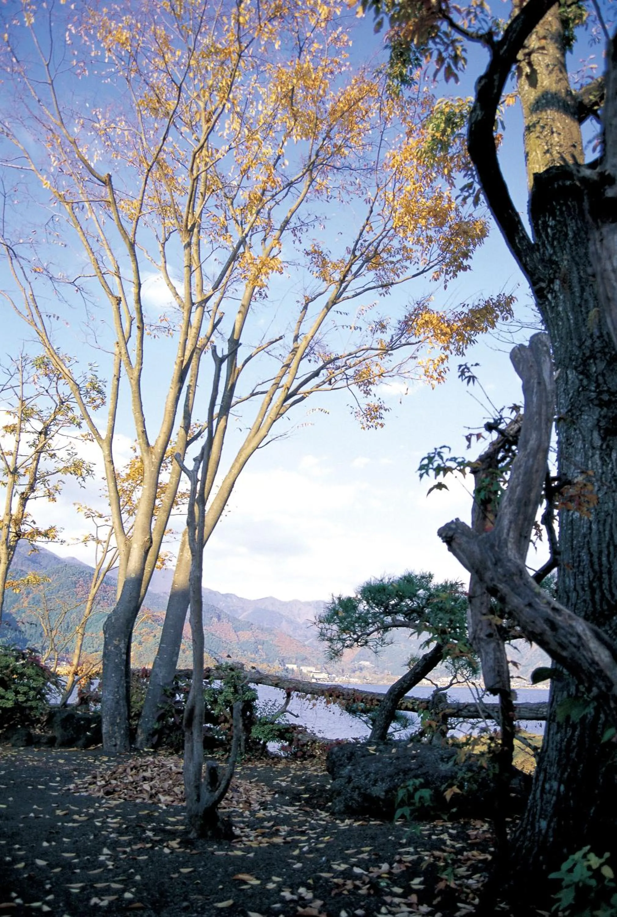 Natural landscape in Maruei