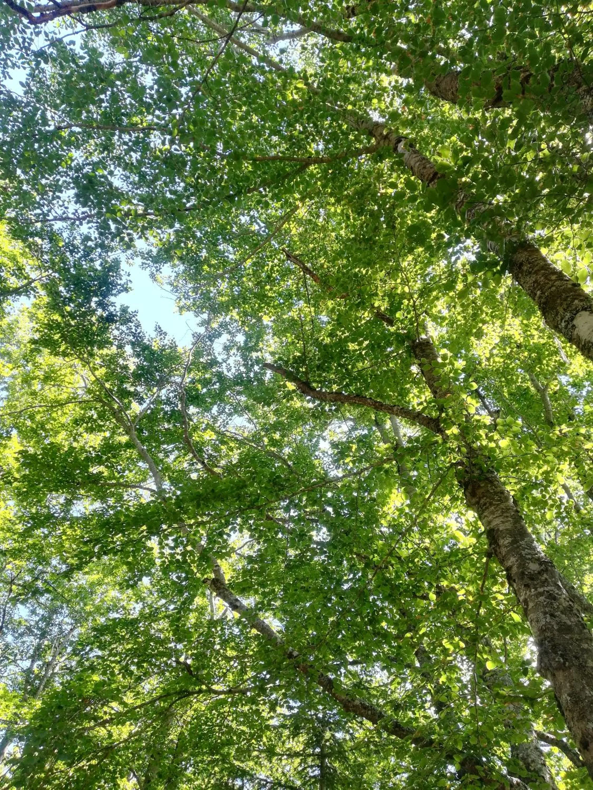 Other in B&B Le Ginestre