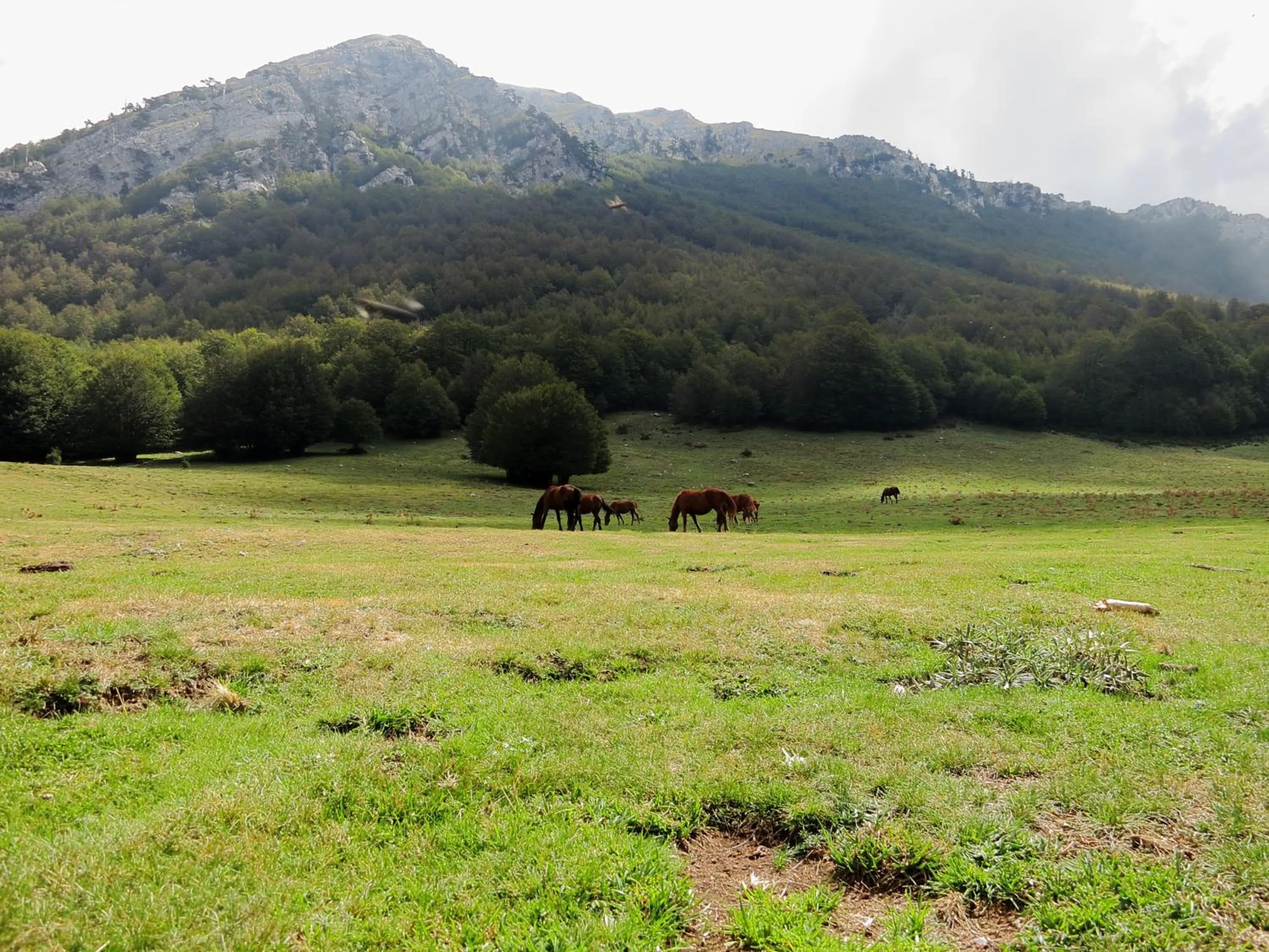 Nearby landmark in B&B Le Ginestre